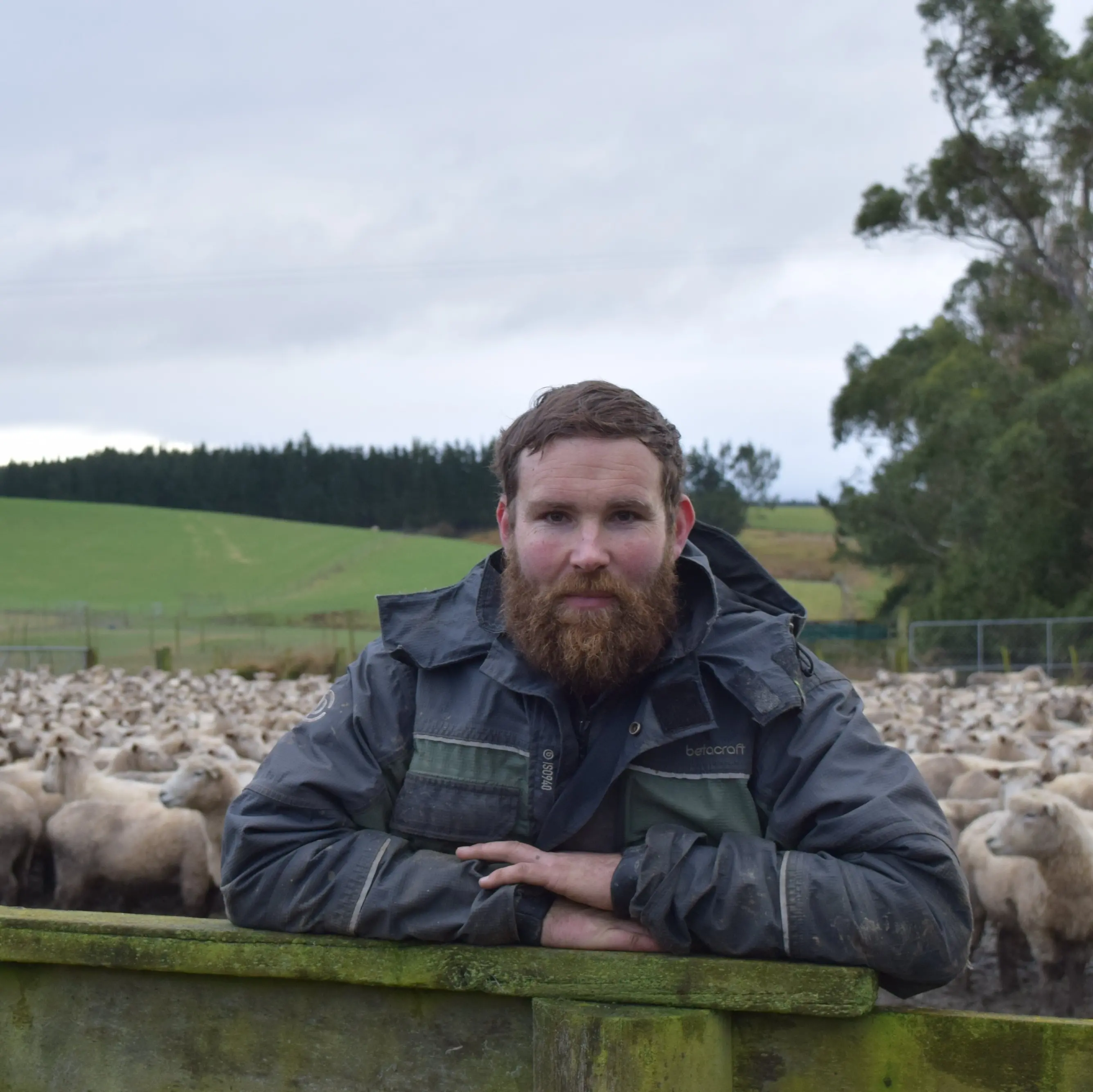 Consent delays stalling beneficial land use change in Poverty Bay, southern farmer says