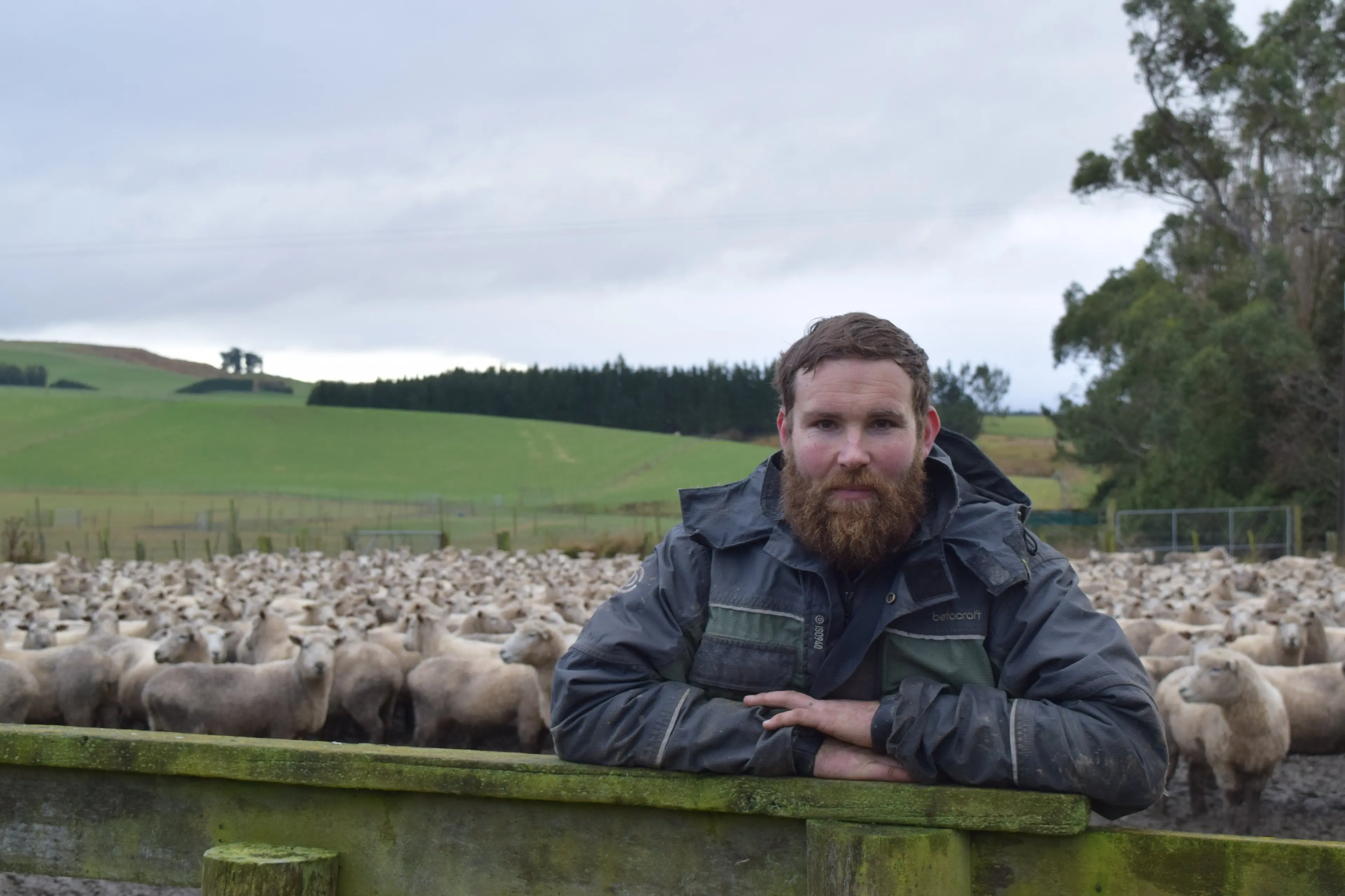Federated Farmers meat and wool national executive member Logan Wallace, of Gore, was part of a tour group to be shown challenges facing the meat and wool sector in Poverty Bay earlier this month. Photo: SRL files