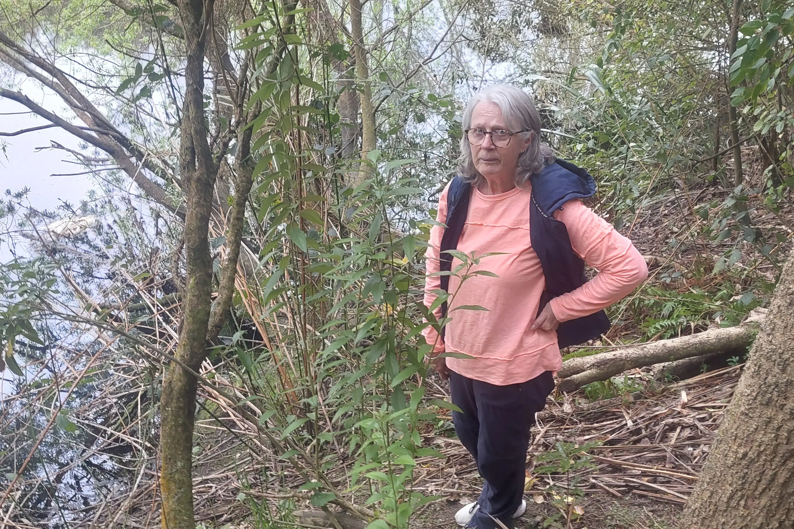 Michelle Taylor has been trying to get dead geese removed from Saltwater Creek for the last month, like the one floating on the left hand side of the photo. Photos: Shelley Inon