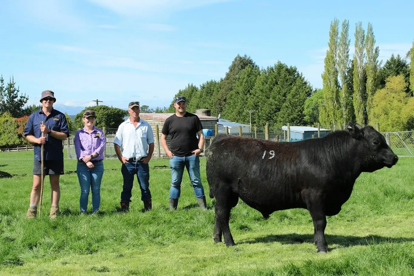 A $46,000 sale of ‘one-of-a-kind’ yearling Angus bull sets stud record in northern Southland