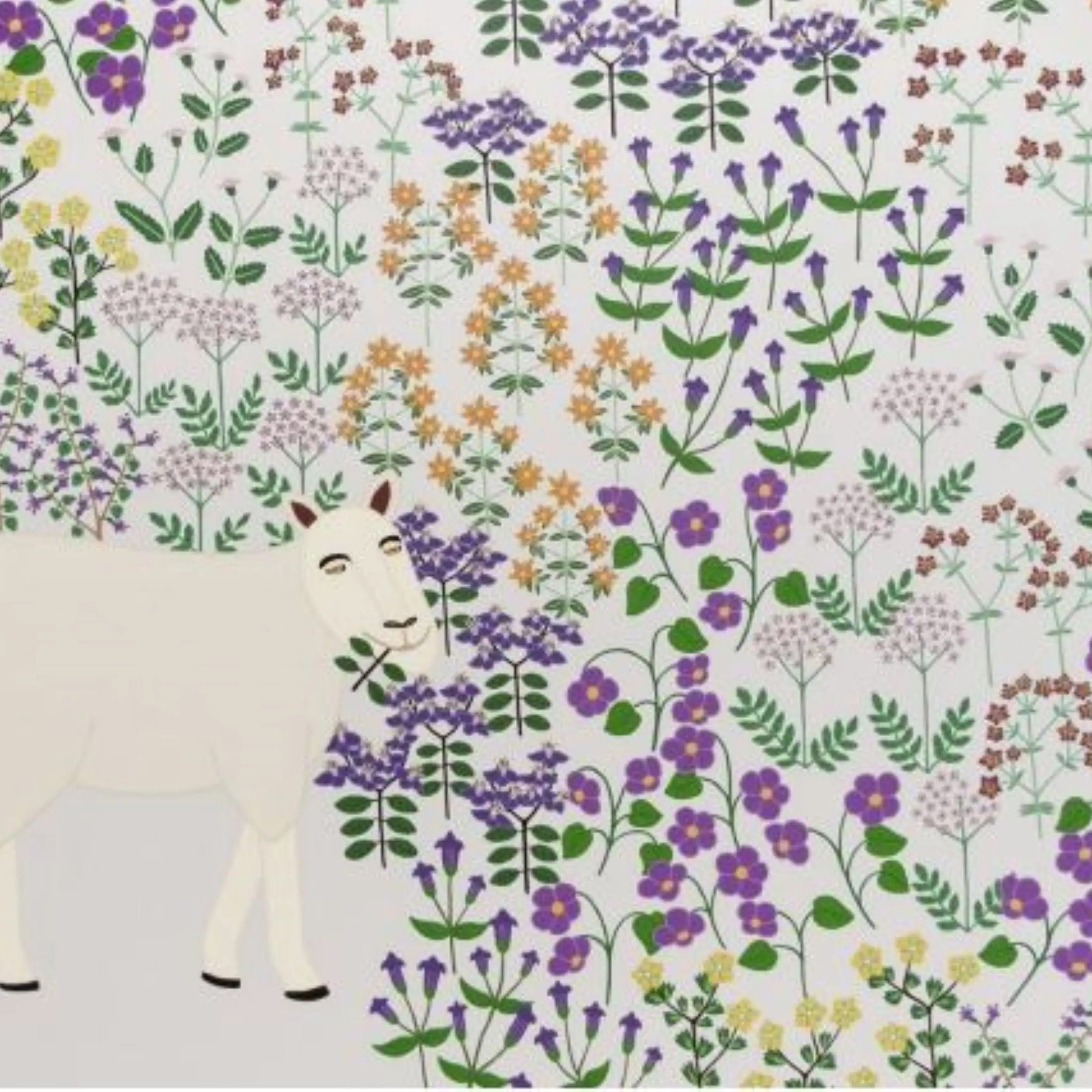 Ashburton to host artist’s first solo exhibition in Canterbury