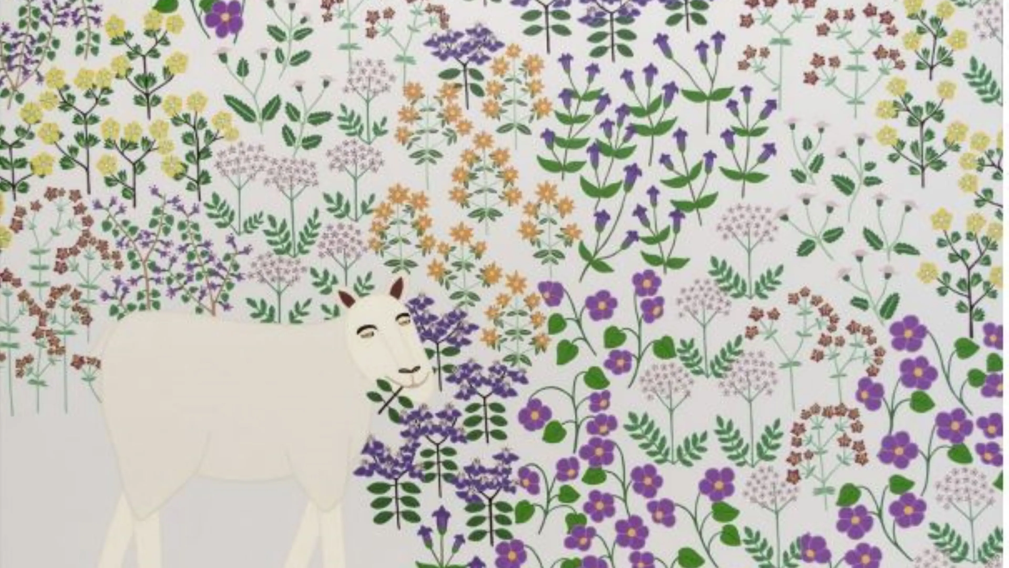 Ashburton to host artist’s first solo exhibition in Canterbury