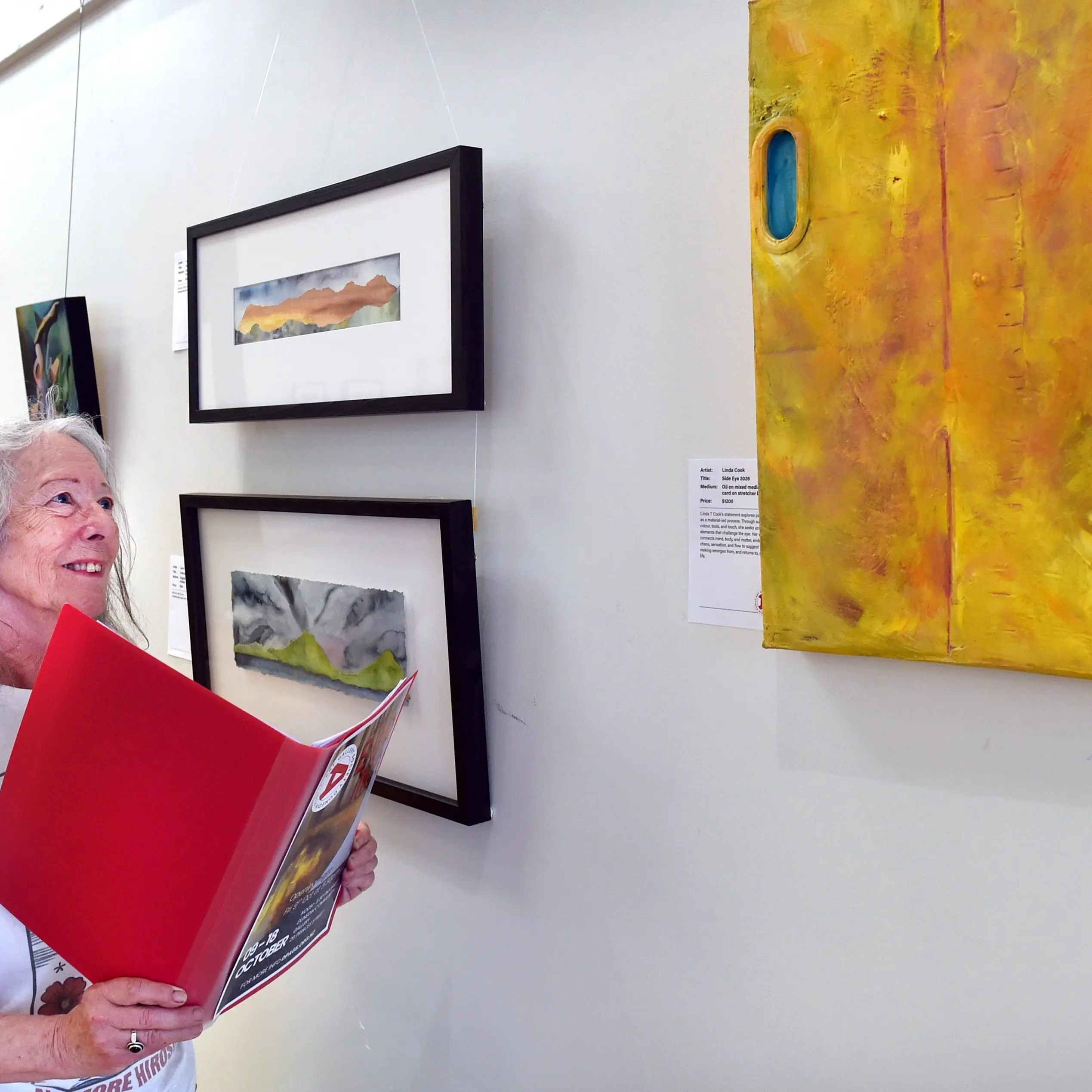 ‘It’s been very successful’: Dunedin Public Art Gallery Society holds first members’ exhibition in its 142-year history
