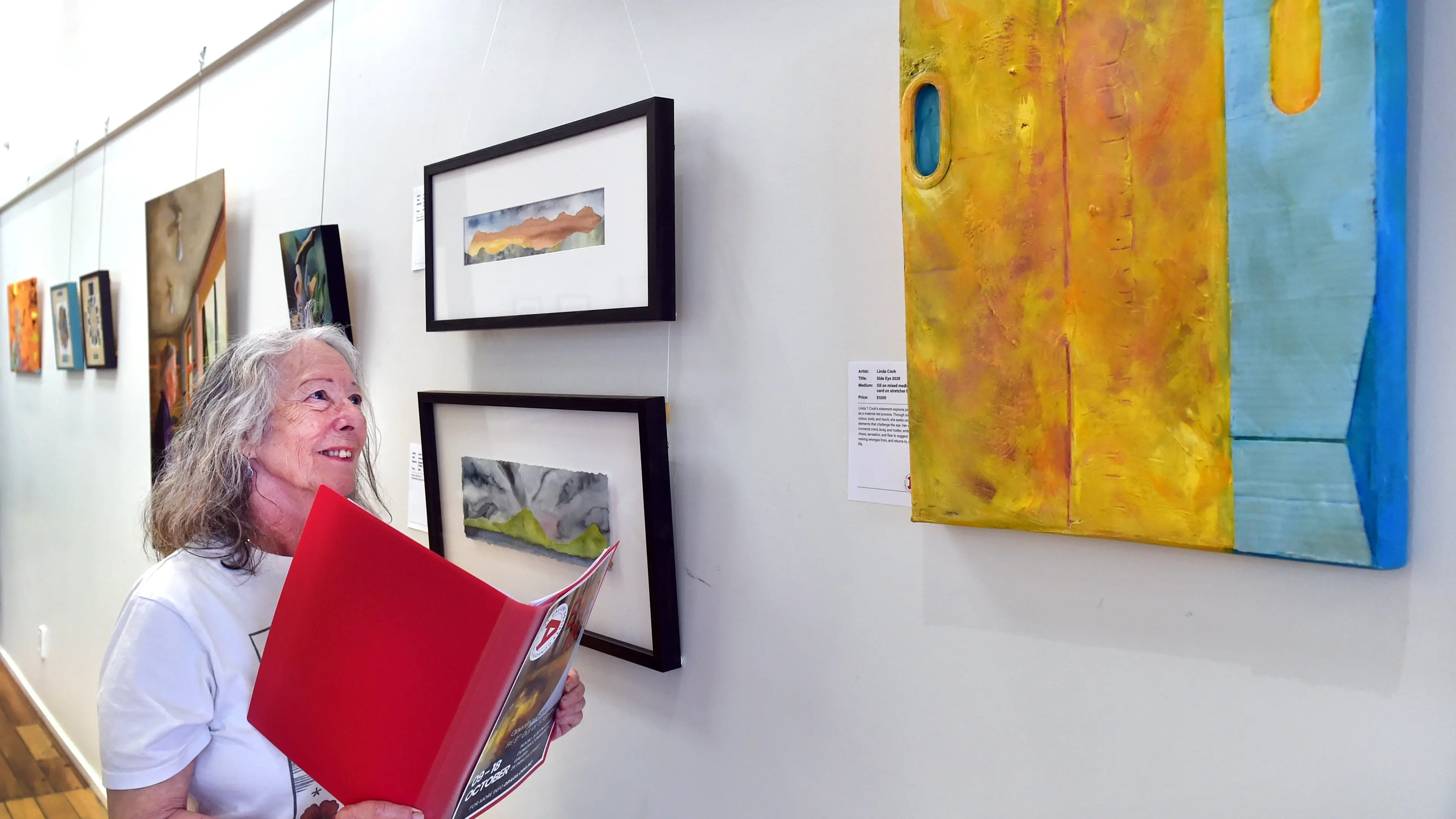 ‘It’s been very successful’: Dunedin Public Art Gallery Society holds first members’ exhibition in its 142-year history