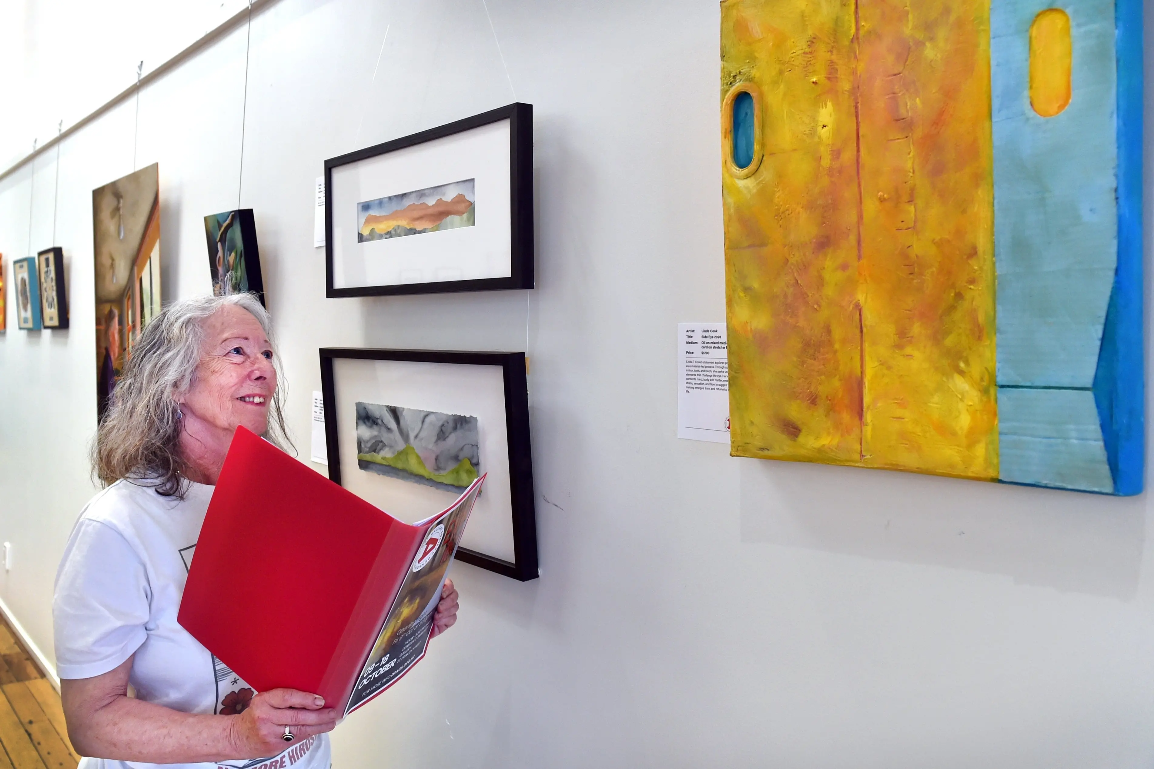 Dunedin Public Art Gallery (DPAG) Society president Linda Cook admires her mixed-media work <i>Side Eye 2026</i>, which is being displayed at the Dunedin Community Gallery as part of the society\\'s inaugural members\\' exhibition. Photo: Peter McIntosh