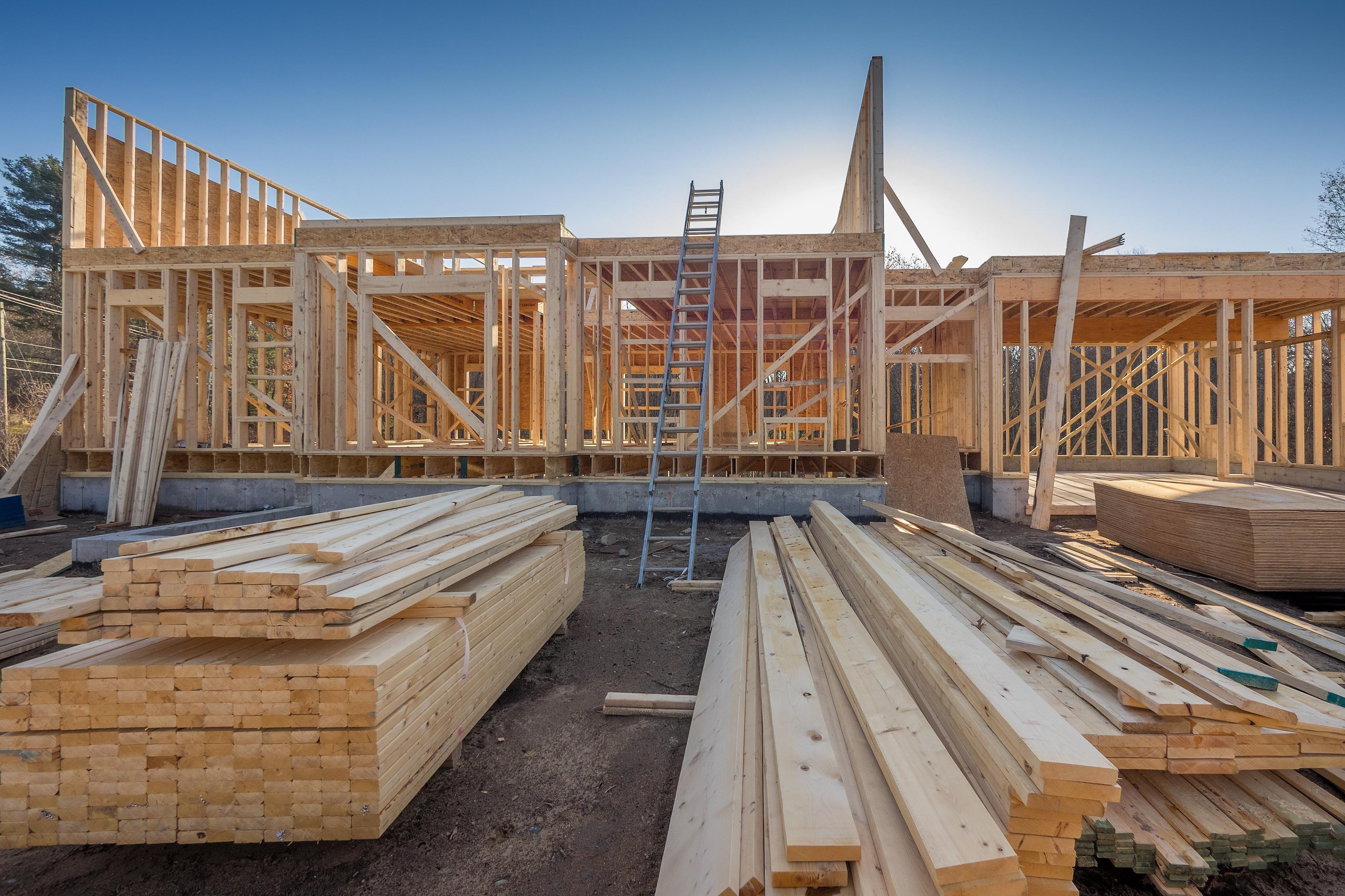 NZ First wants to slow down fast-track for housing