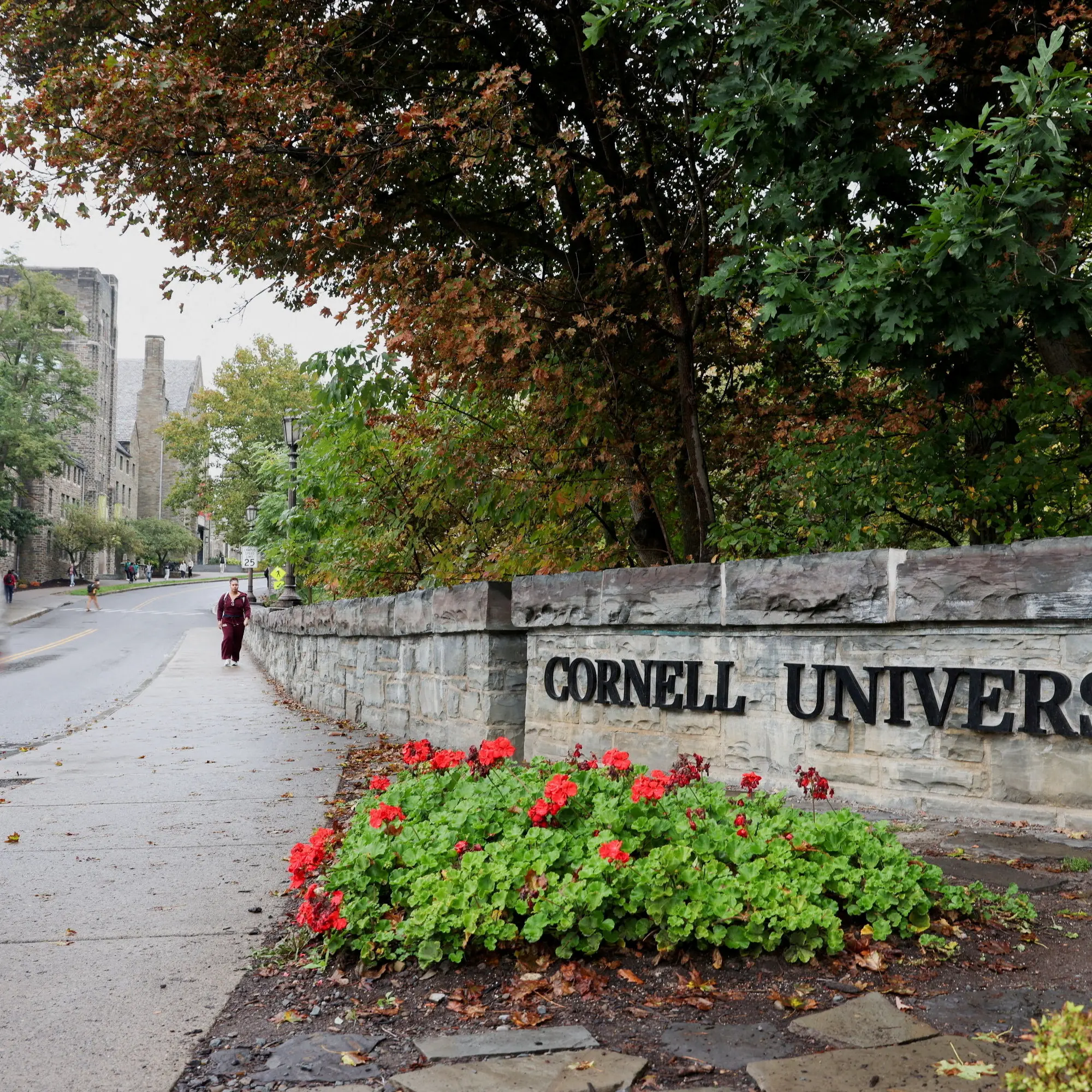 Cornell University bans frat parties after gang rape allegations