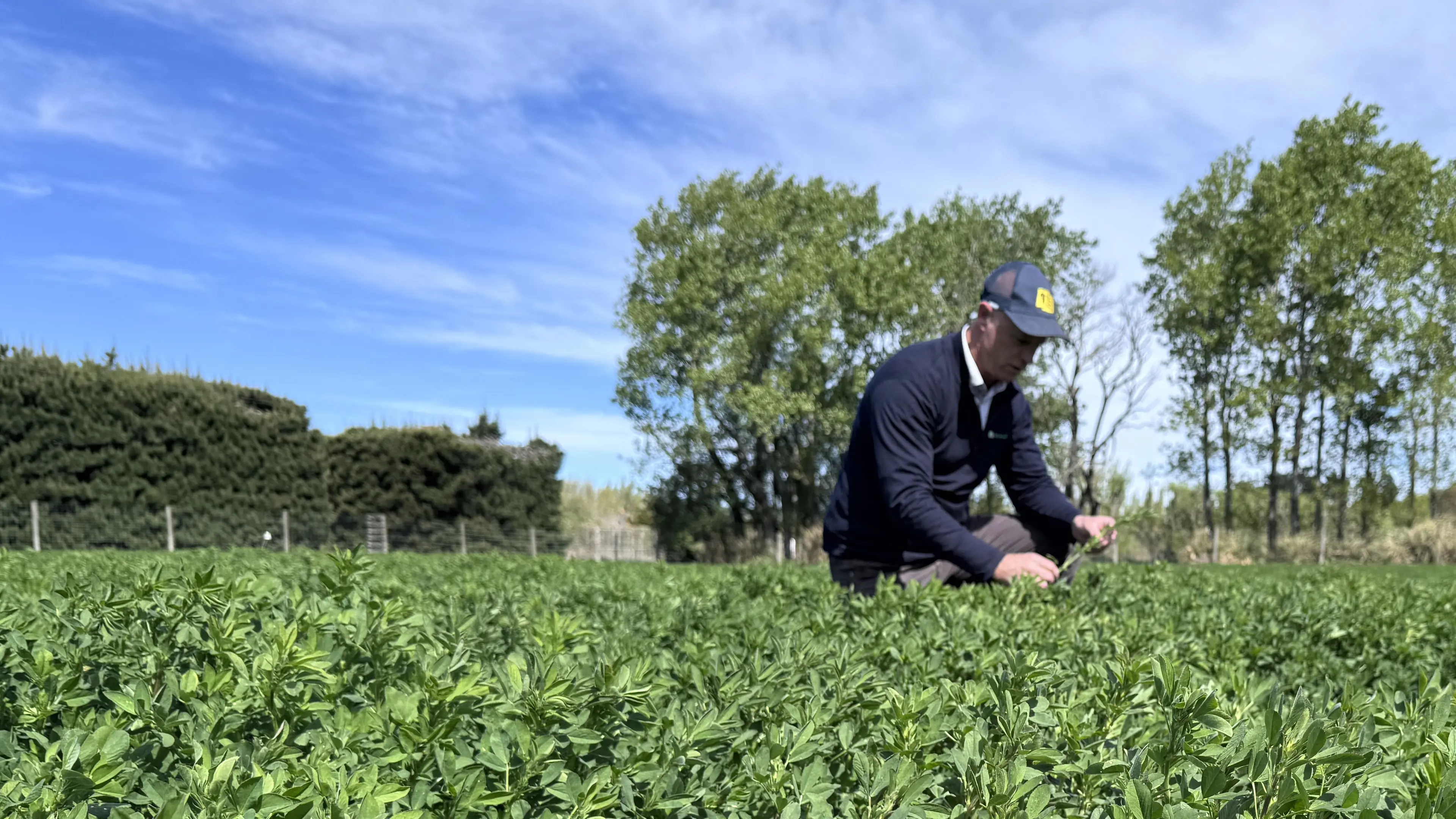 Sow Now, Feed Later: Getting Ahead of the El Niño Dry