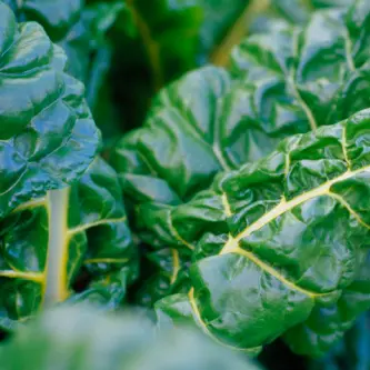 Internal documents warned of food safety risk after MPI said there were none