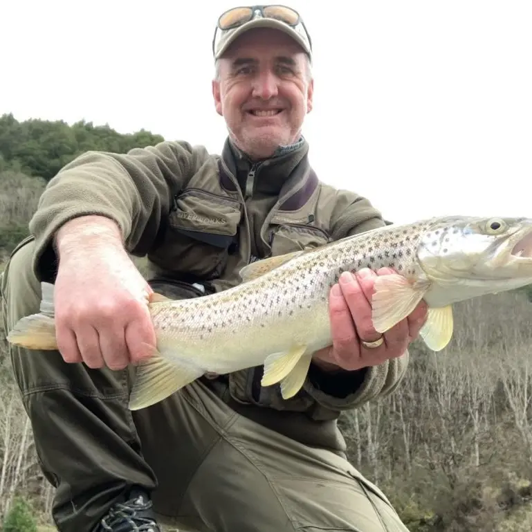 Fish & Game Southland still hunting for classification for heavily fished waters