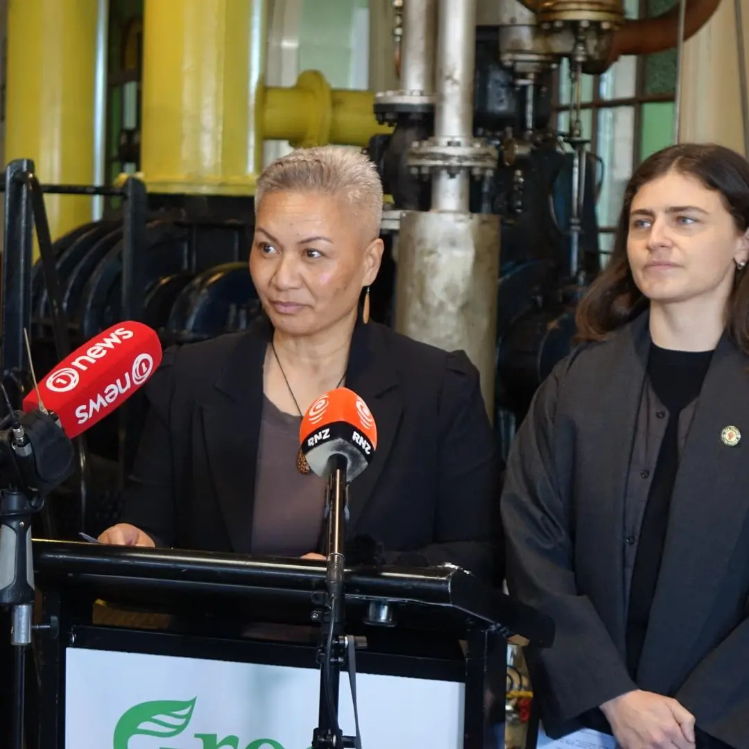 Greens promise universal payment for trainee teachers, nurses, vets and dentists