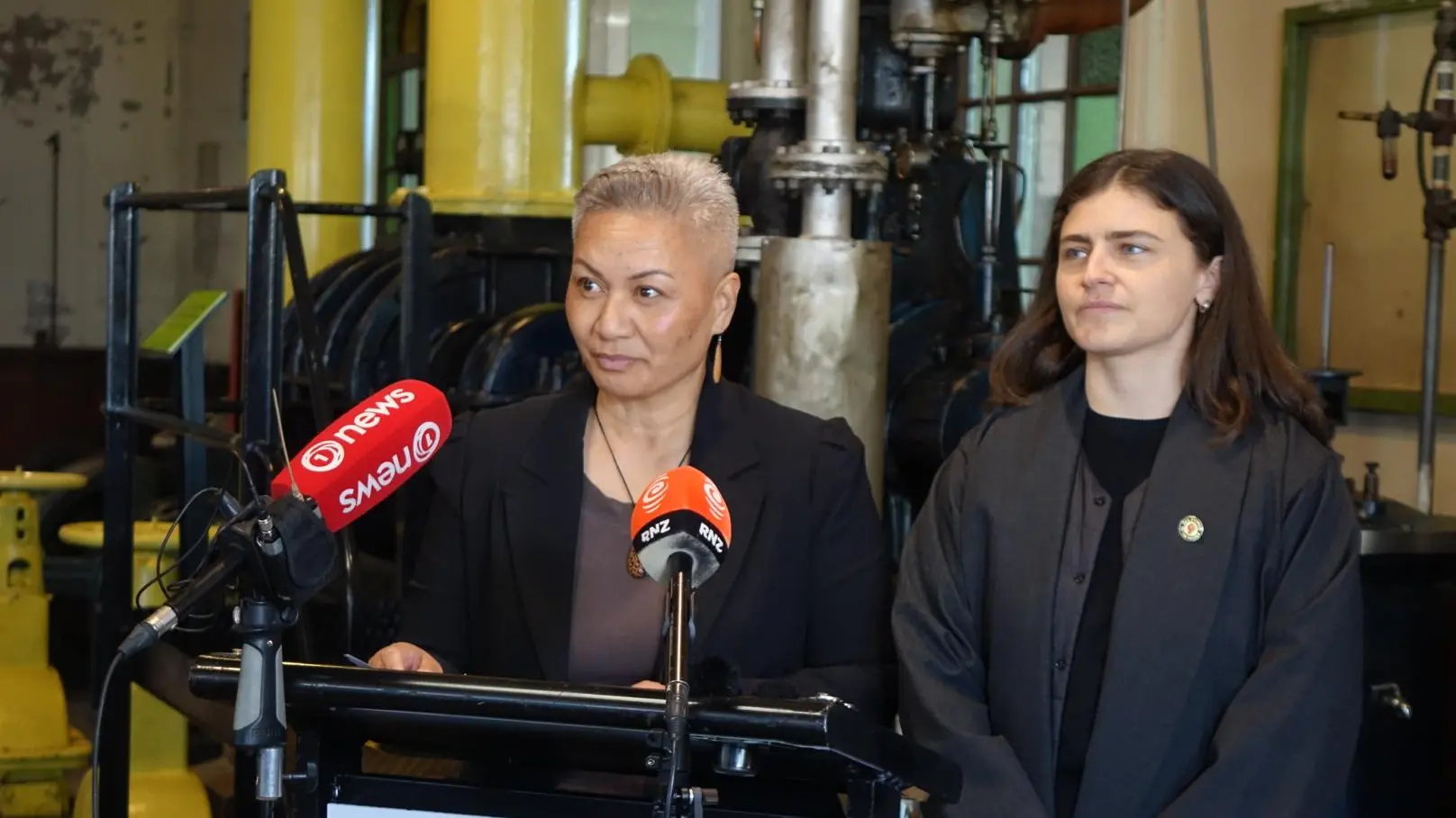 Greens promise universal payment for trainee teachers, nurses, vets and dentists