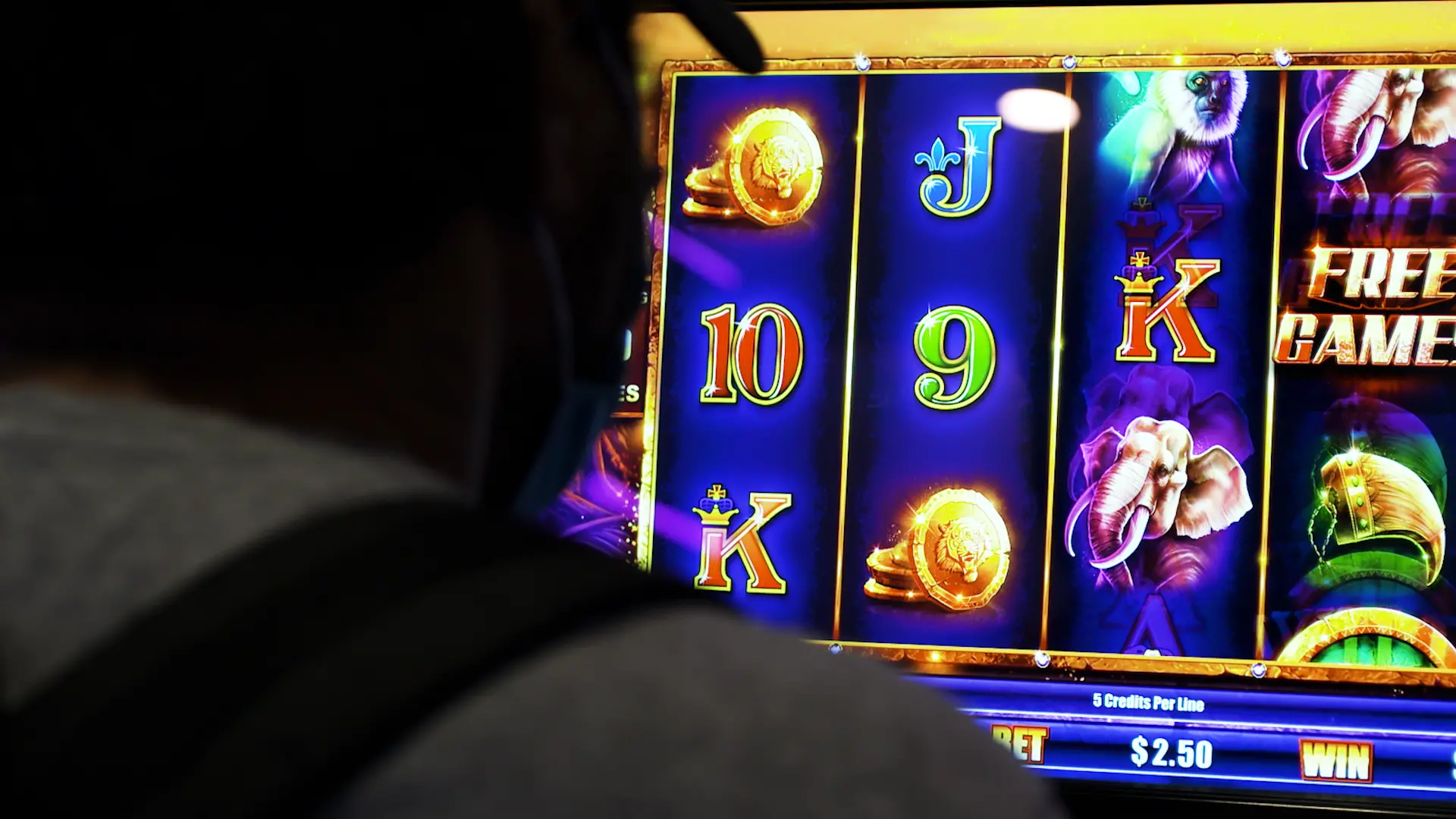 Councillors reject advice on sinking-lid gambling policy
