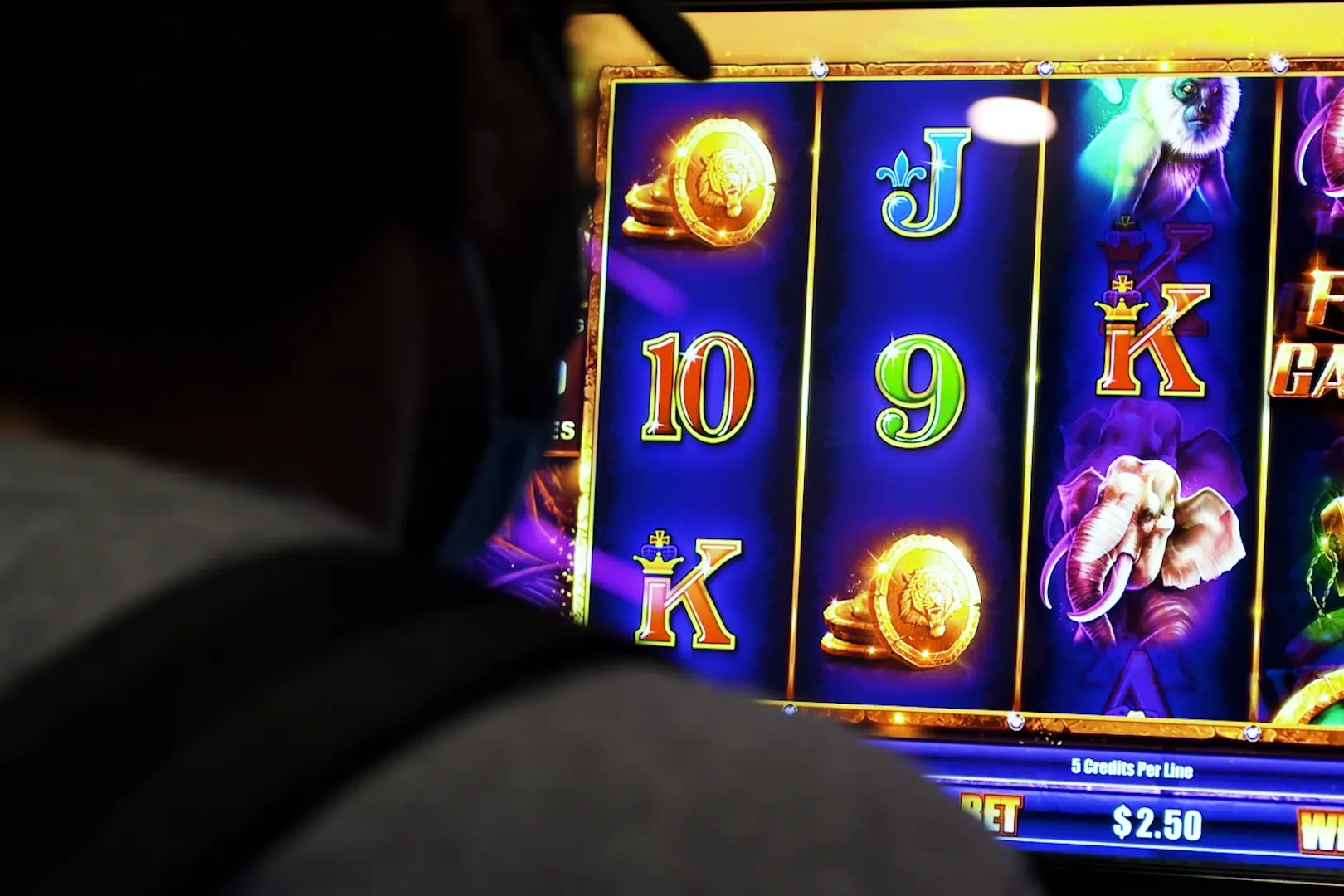Almost $19 million was lost on Invercargill gaming machines over a recent one year period. Photo: RNZ/Dan Cook.