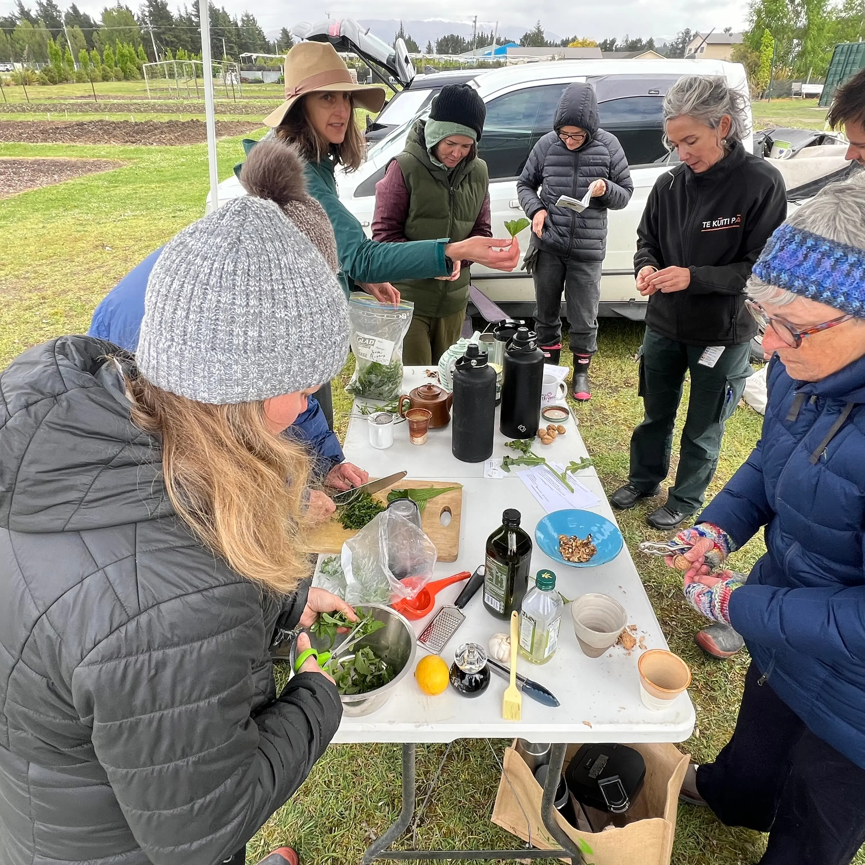 Workshop sheds a new light on weeds