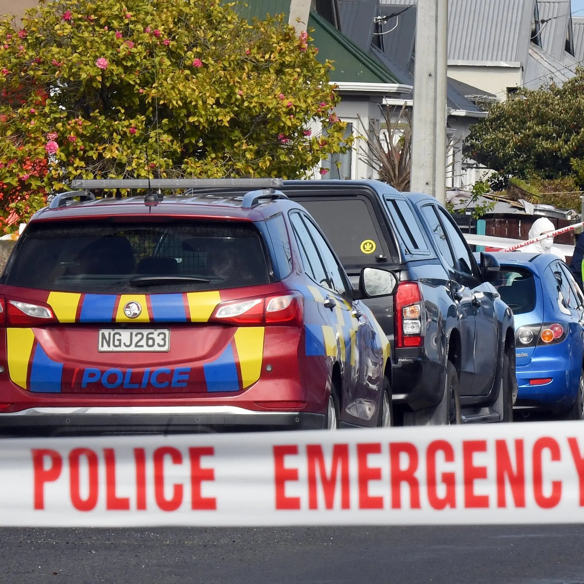 Significant police response as person found dead after Dunedin house fire