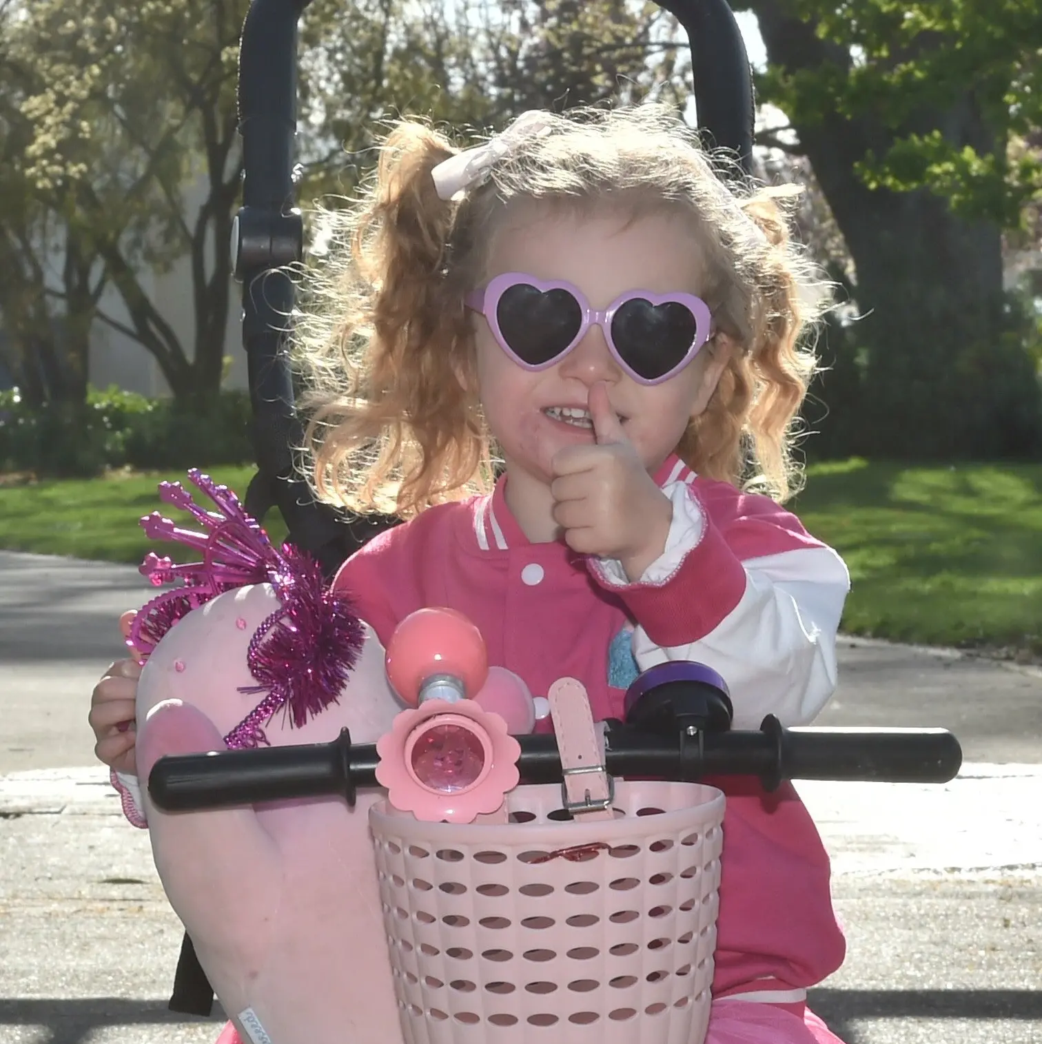 Mosgiel walkers paint the town pink