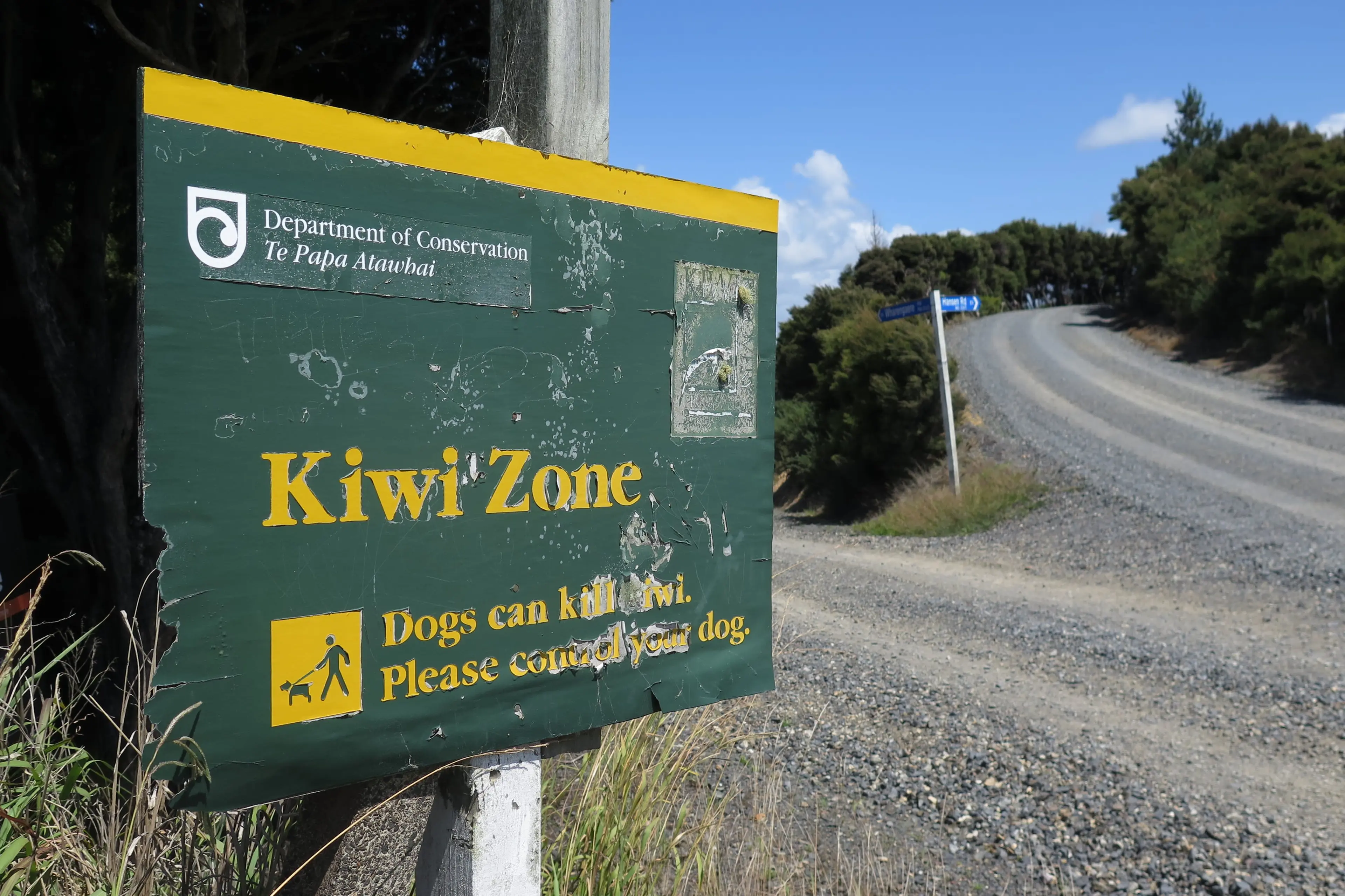 A \\'Kiwi Zone\\' sign by the road leading to isolated Wharengaere Bay. Photo: RNZ