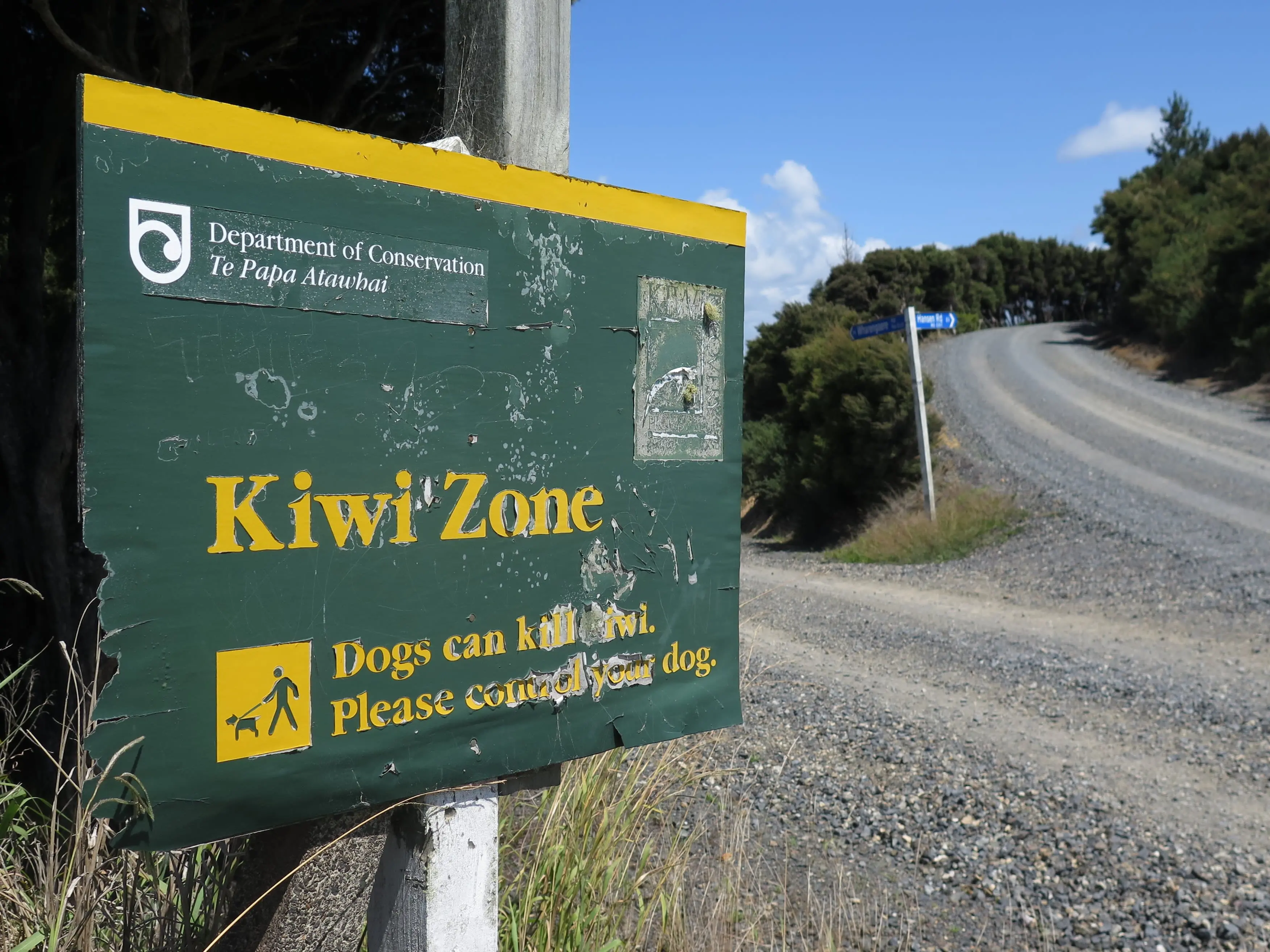 Northland woman pleads guilty after dog kills four kiwi