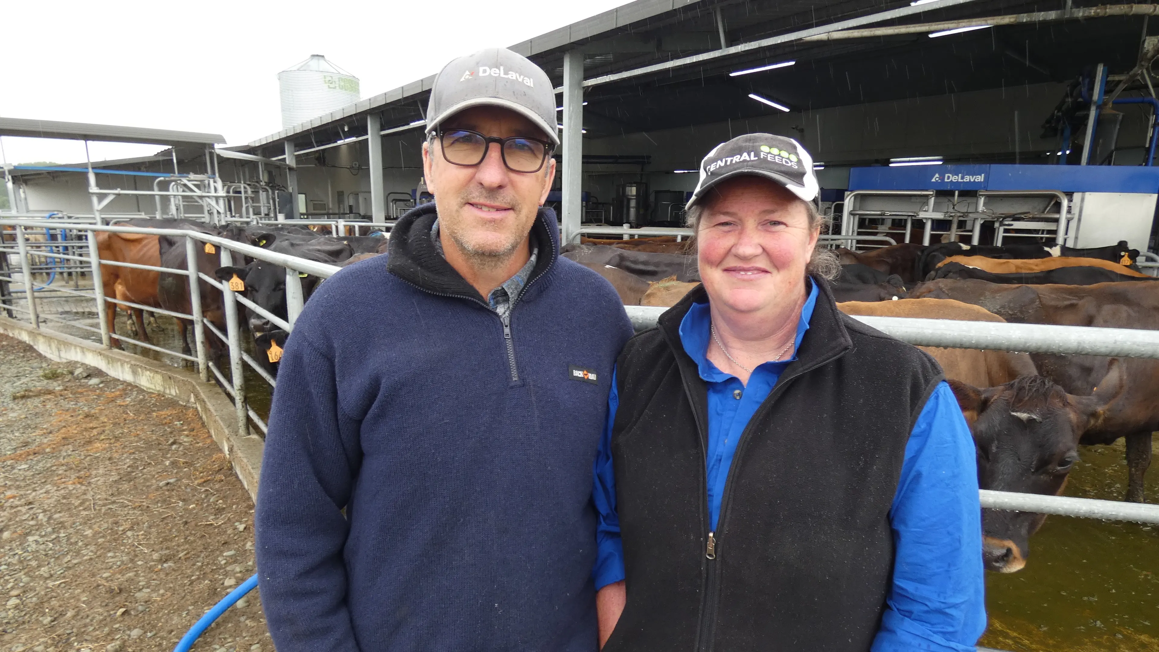 Milking robots pay off for South Canterbury dairying couple