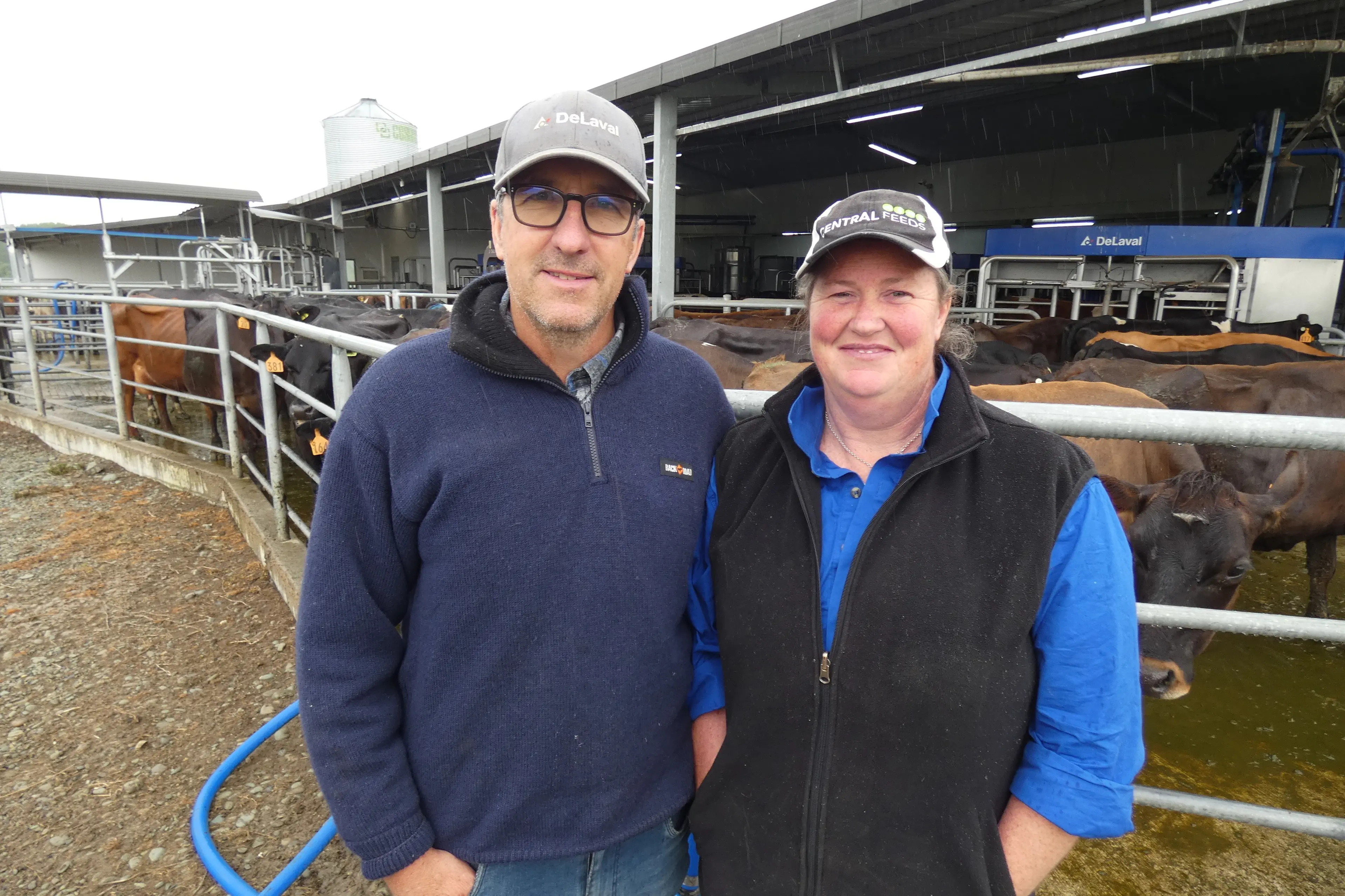 An impressed Pleasant Point dairying couple Brendan and Katya Caird went from initially being dubious about six robotic milkers to upgrading them. Photo: Tim Cronshaw