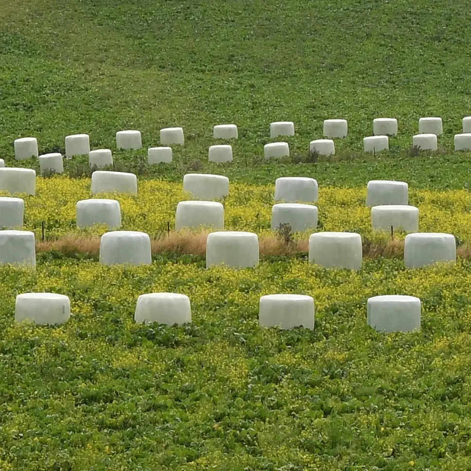 Death of director impacts Southland agricultural contracting business