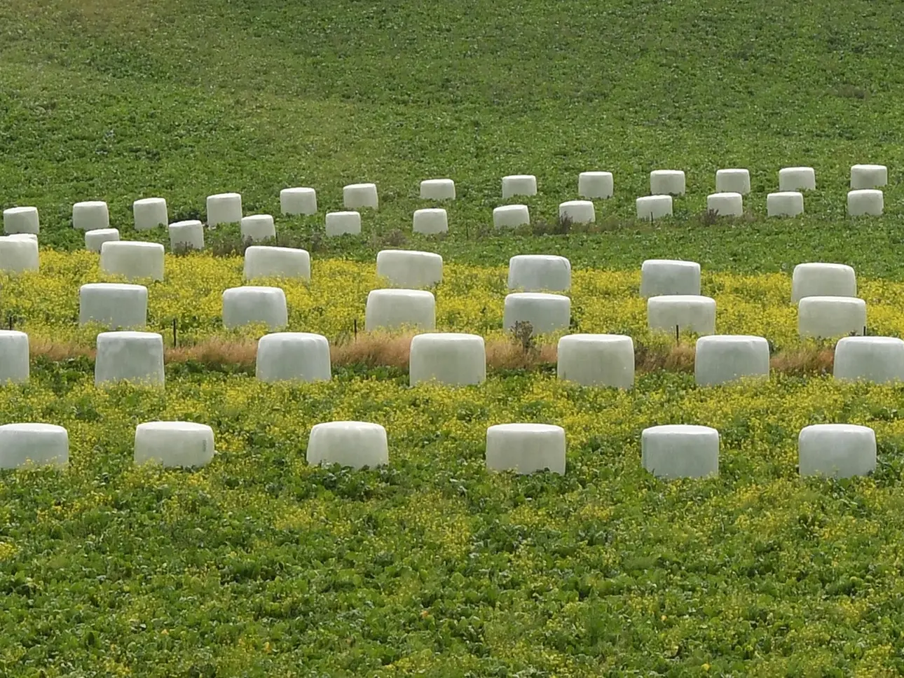 Death of director impacts Southland agricultural contracting business