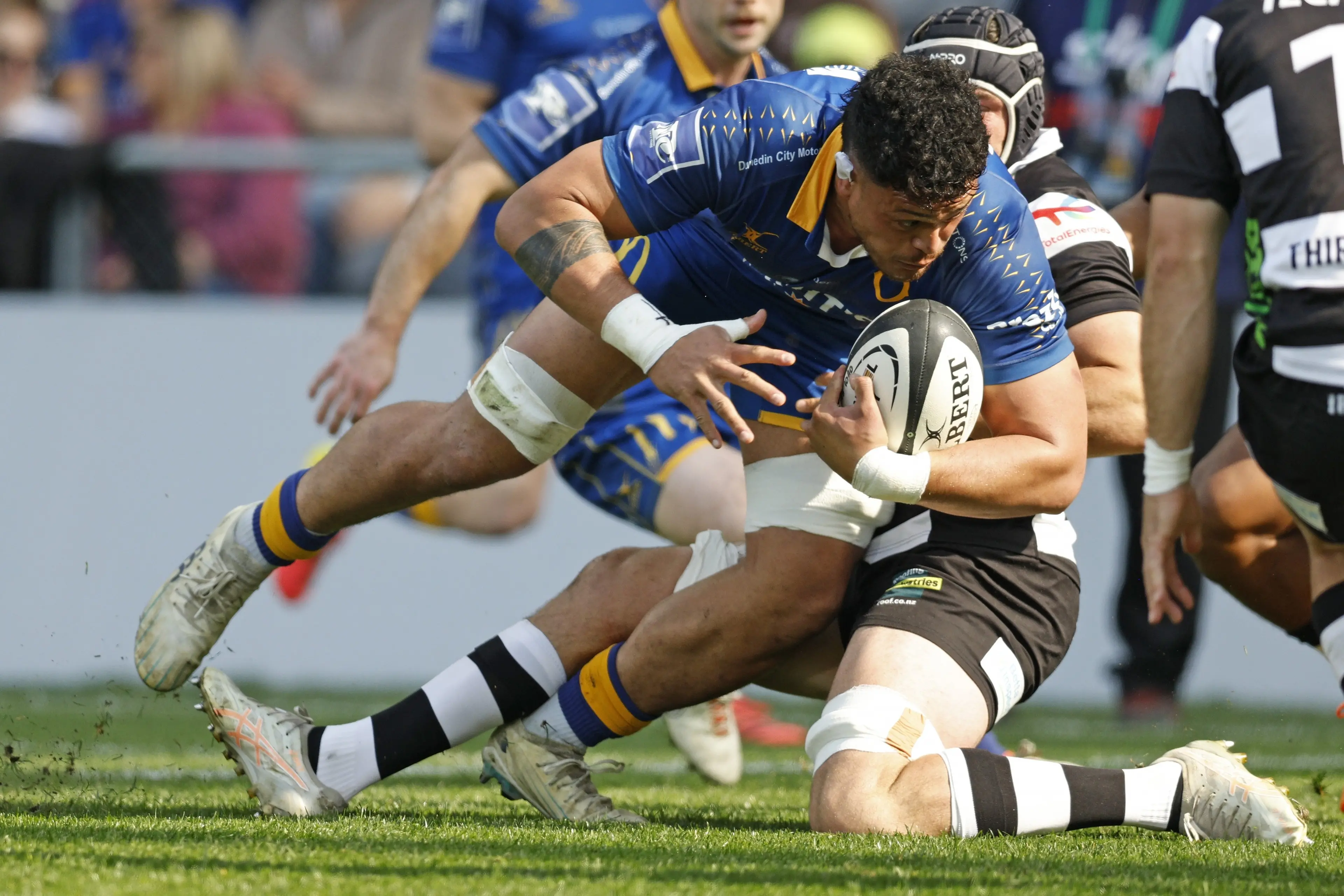 Otago captain Christian Lio-Willie dives over to score during the quarterfinal. Photo: NZ Rugby/Action Press