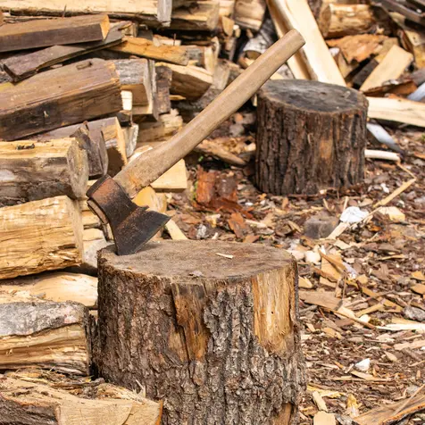 Firewood thieves caught in the act
