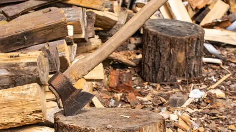 Firewood thieves caught in the act