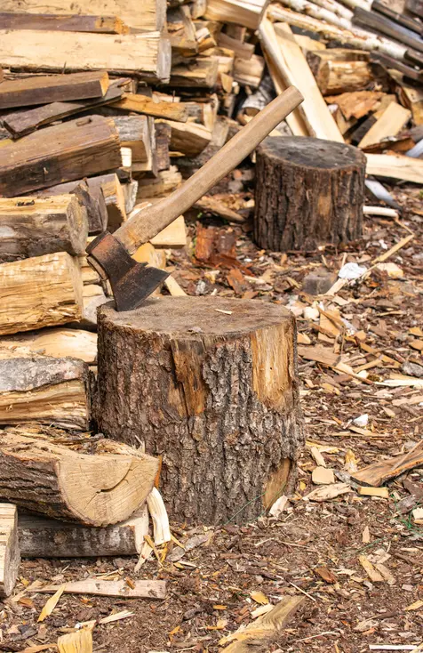 The two Oamaru men were arrested for stealing firewood on Sunday. Photo: File image