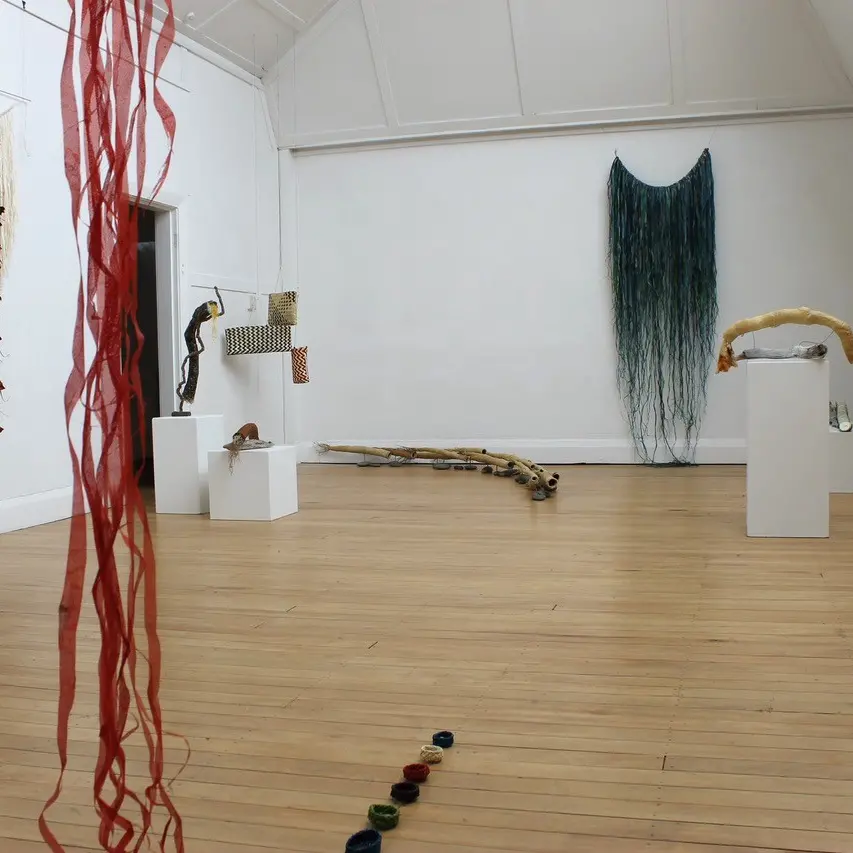 Artists bring immersive exhibit to Invercargill