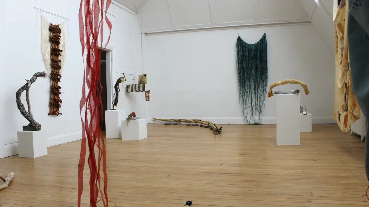 Artists bring immersive exhibit to Invercargill