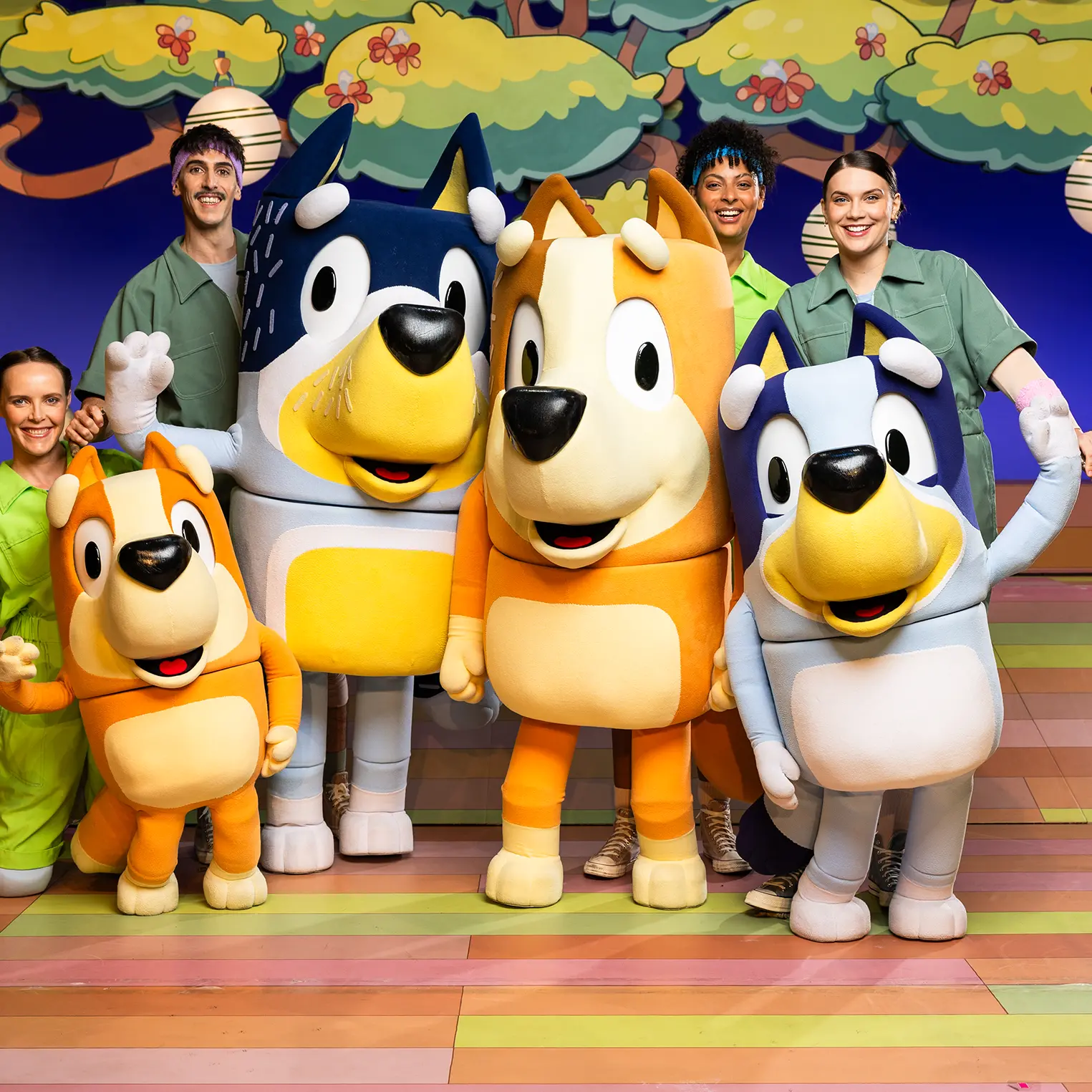 Bluey returning to the stage