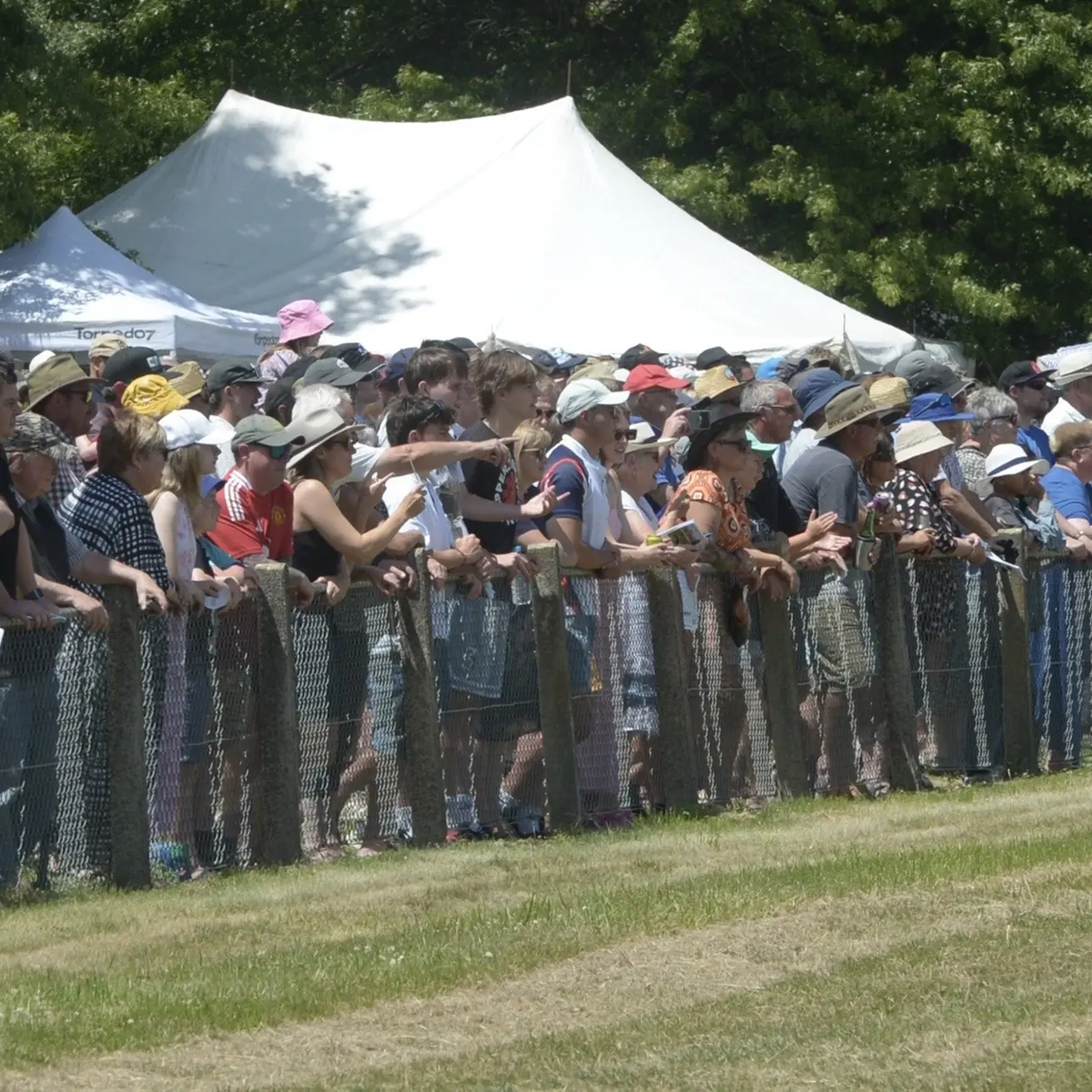 Trotting club wants grant to help run meeting