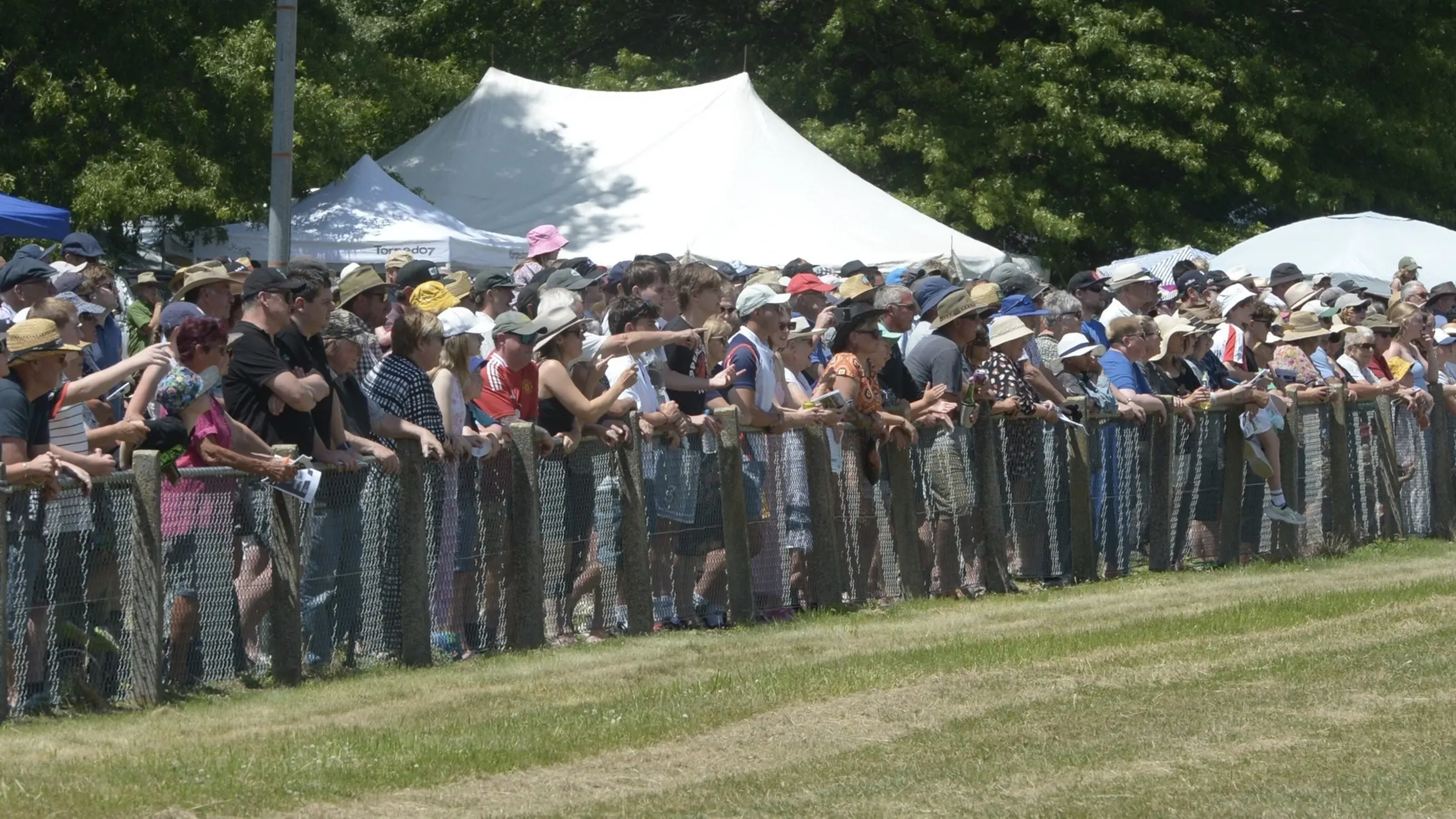 Trotting club wants grant to help run meeting