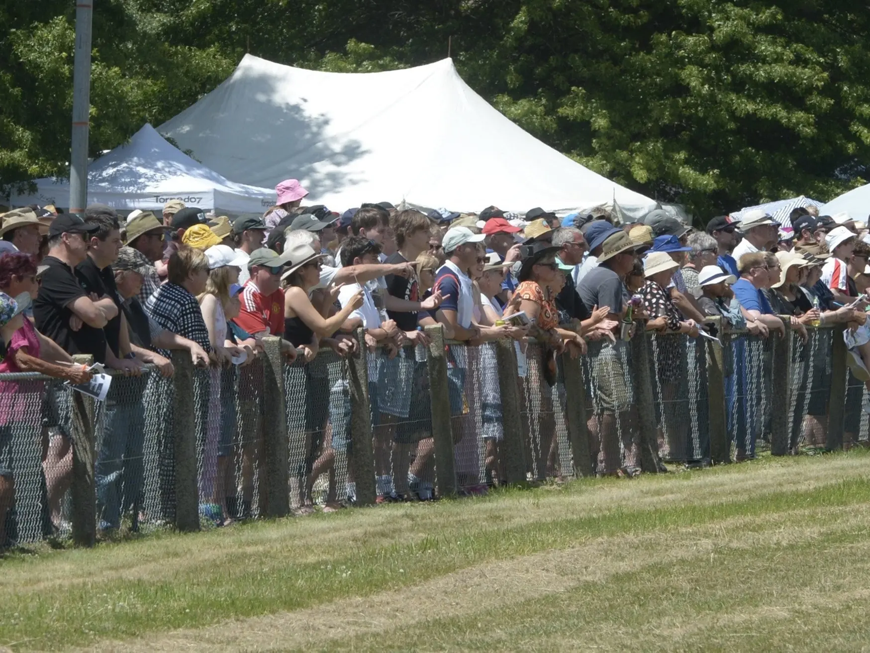 Trotting club wants grant to help run meeting