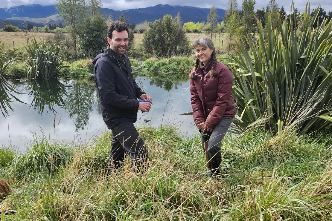 Winning wetland restoration project: MainPower Waimakariri Biodiversity Fund judge Dr Noah Davis, left,  congratulates Rebecca Pocock, for the wetland restoration project at her Sladdens Farm Road property in Oxford  which protects the habitat of the critically endangered kowaro/ Canterbury mudfish. Photo: Supplied