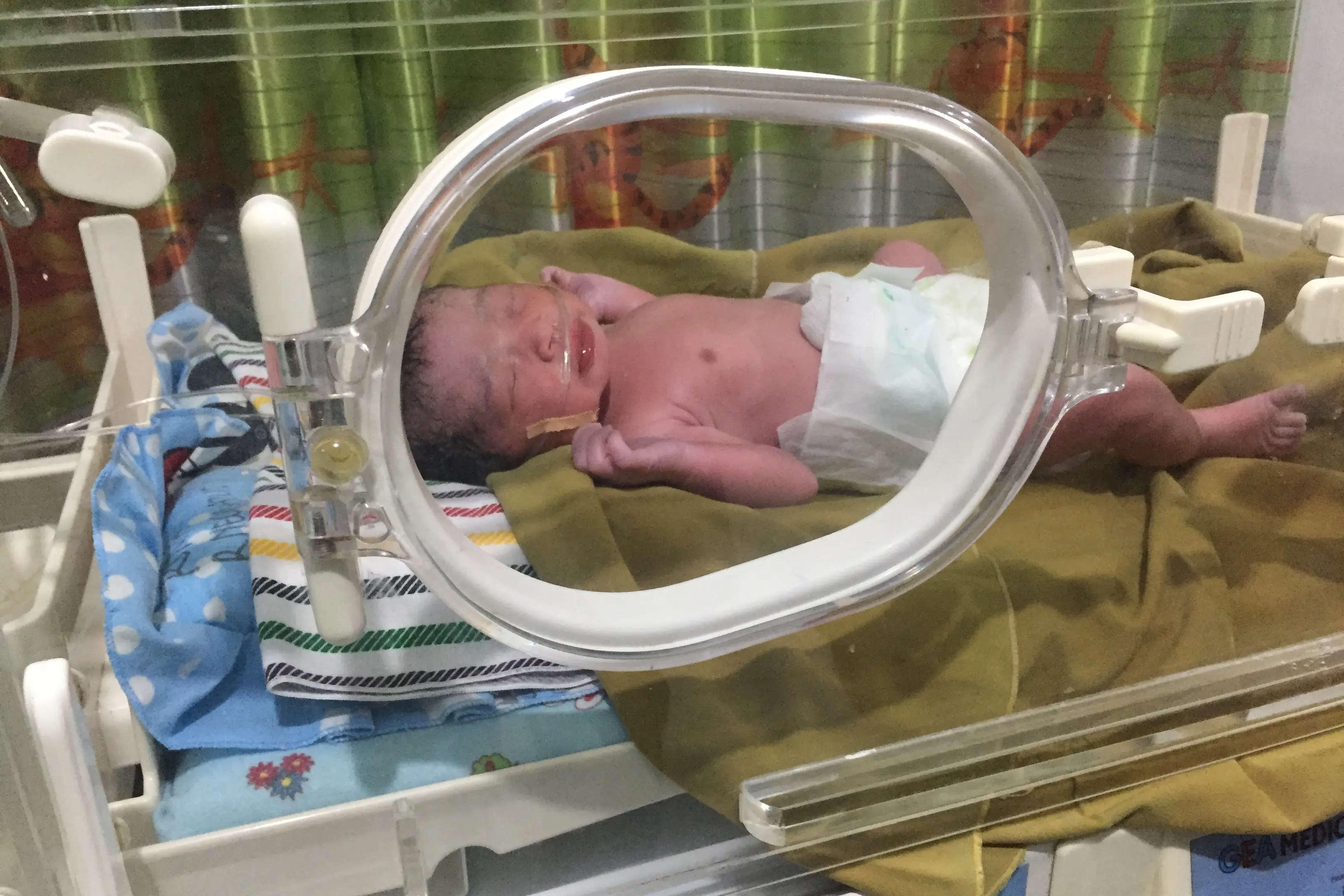A low birth weight baby (the author\\'s own) recovering in an incubator post birth. Photo: supplied