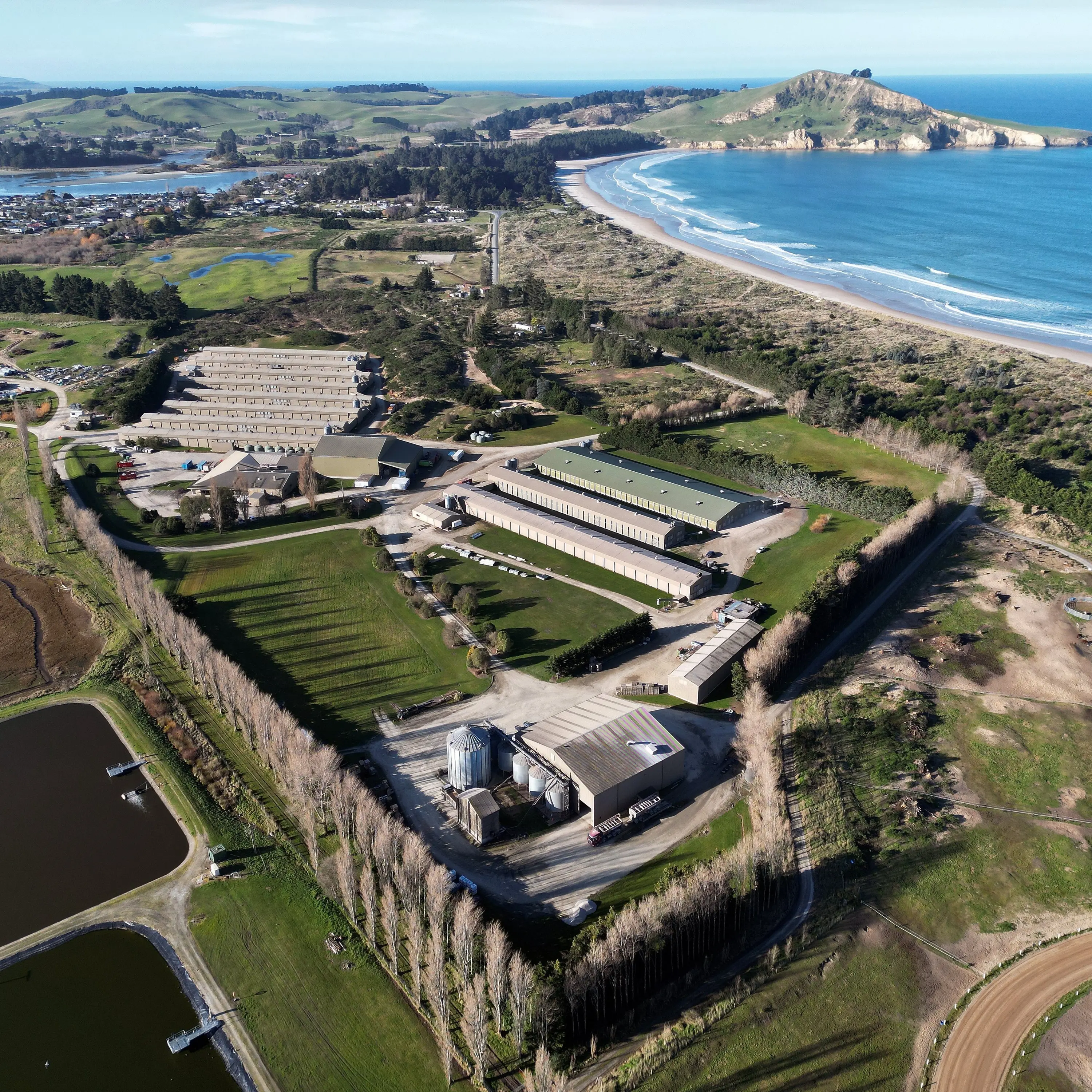 ‘Significant, multimillion-dollar investment’ coming to egg farm north of Dunedin