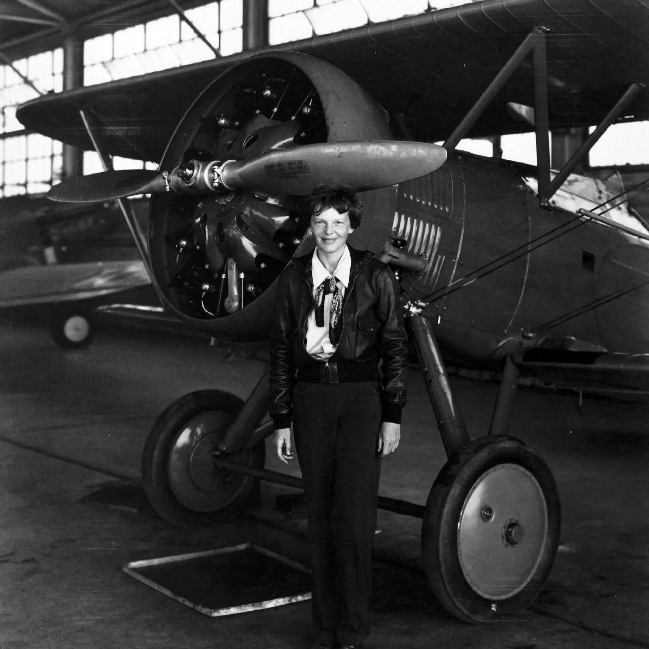 In search for Amelia Earhart's plane, clue turns out to be tree debris
