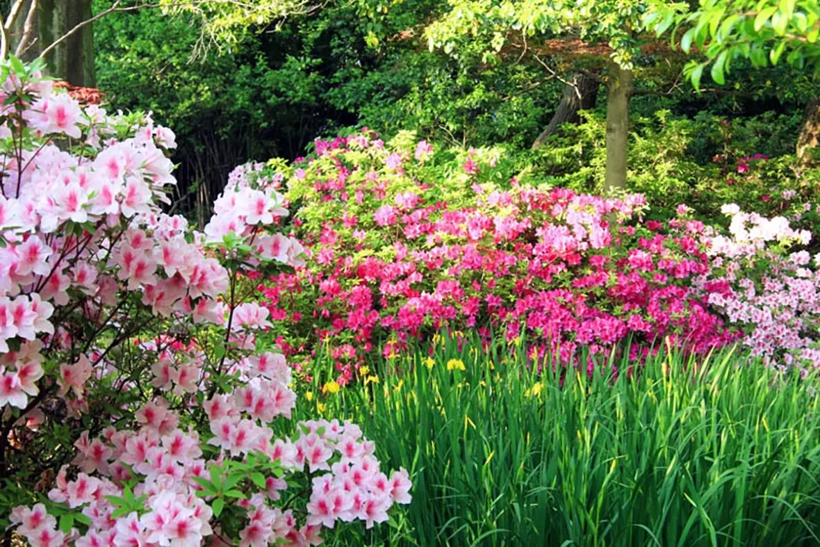 The Otago Open Gardens Trail will offer chances to visit private and public gardens across the district over Labour Weekend. Photo: Supplied.