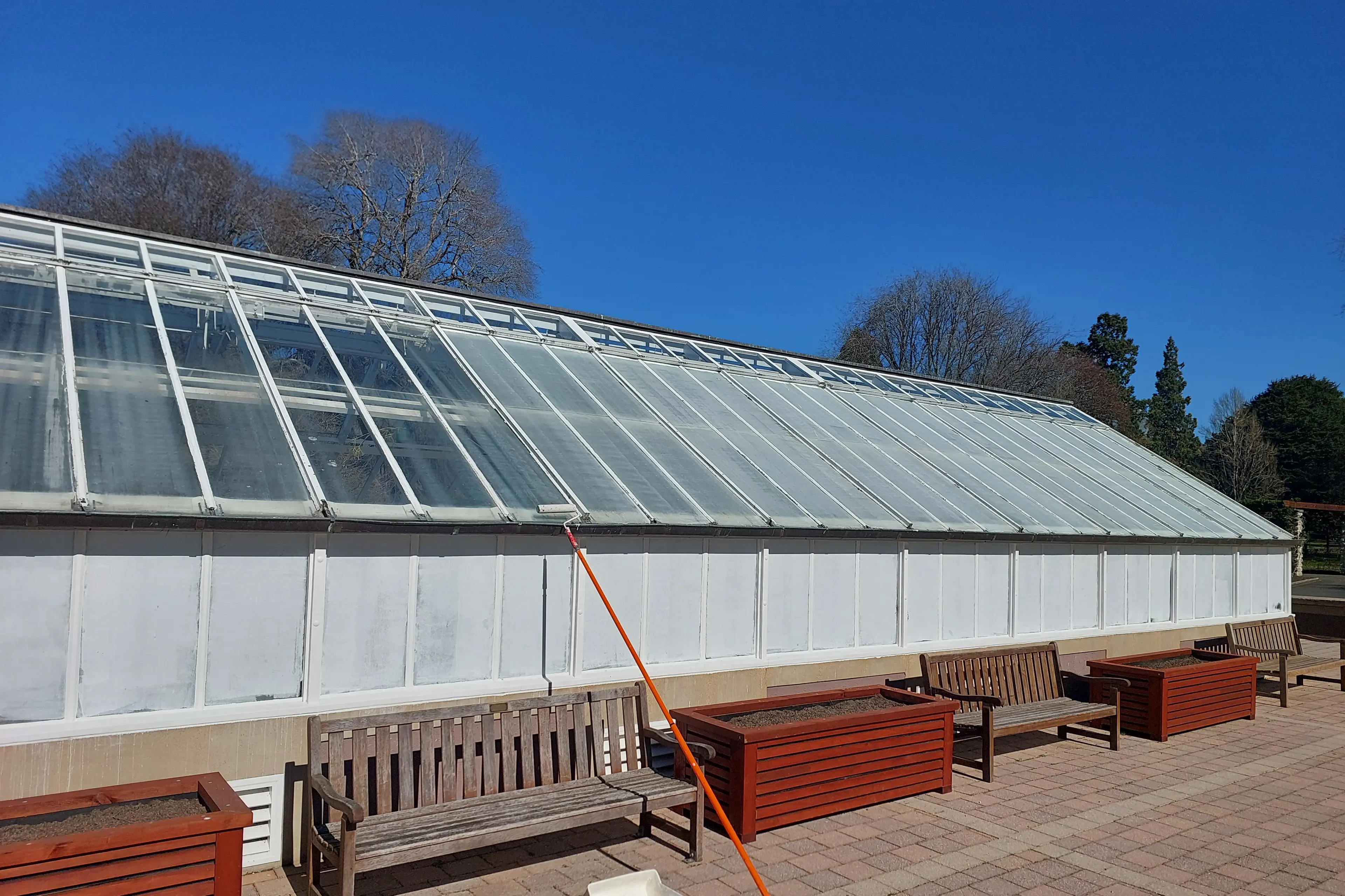 UV protective paint is seen on the glass panels of the Winter Garden at Dunedin Botanic Garden. Photo: Ben Xie