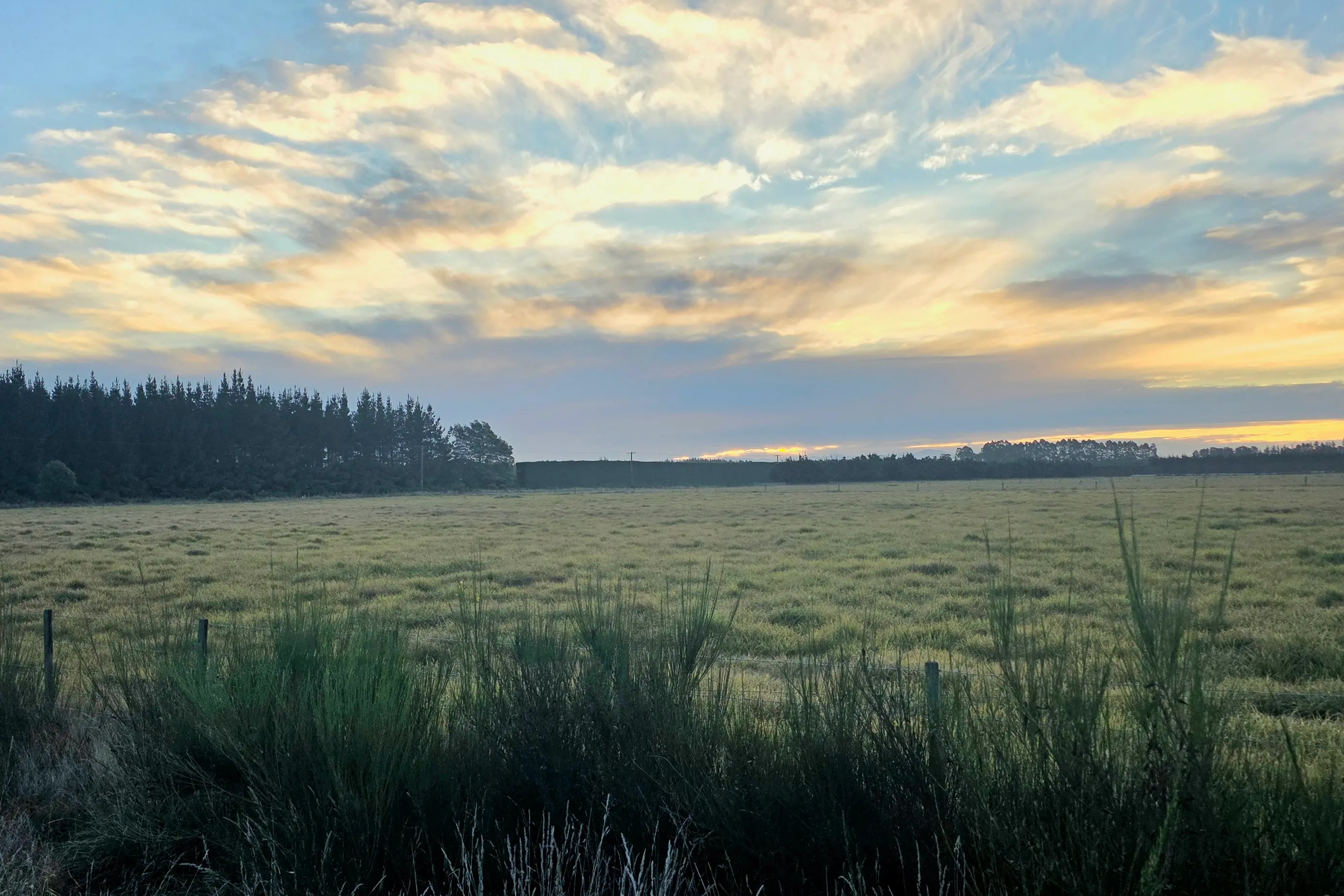 \\u200BRolly Central Ltd has applied to rezone 66ha of land at the corner of Edwards and Selwyn Rds from rural to medium-density, enabling about 1000 homes. Photo: Daniel Alvey