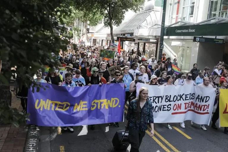 Hundreds of people marched on Parliament in 2025 to protest against moves to change how puberty blockers are prescribed in gender-affirming care. Photo: RNZ