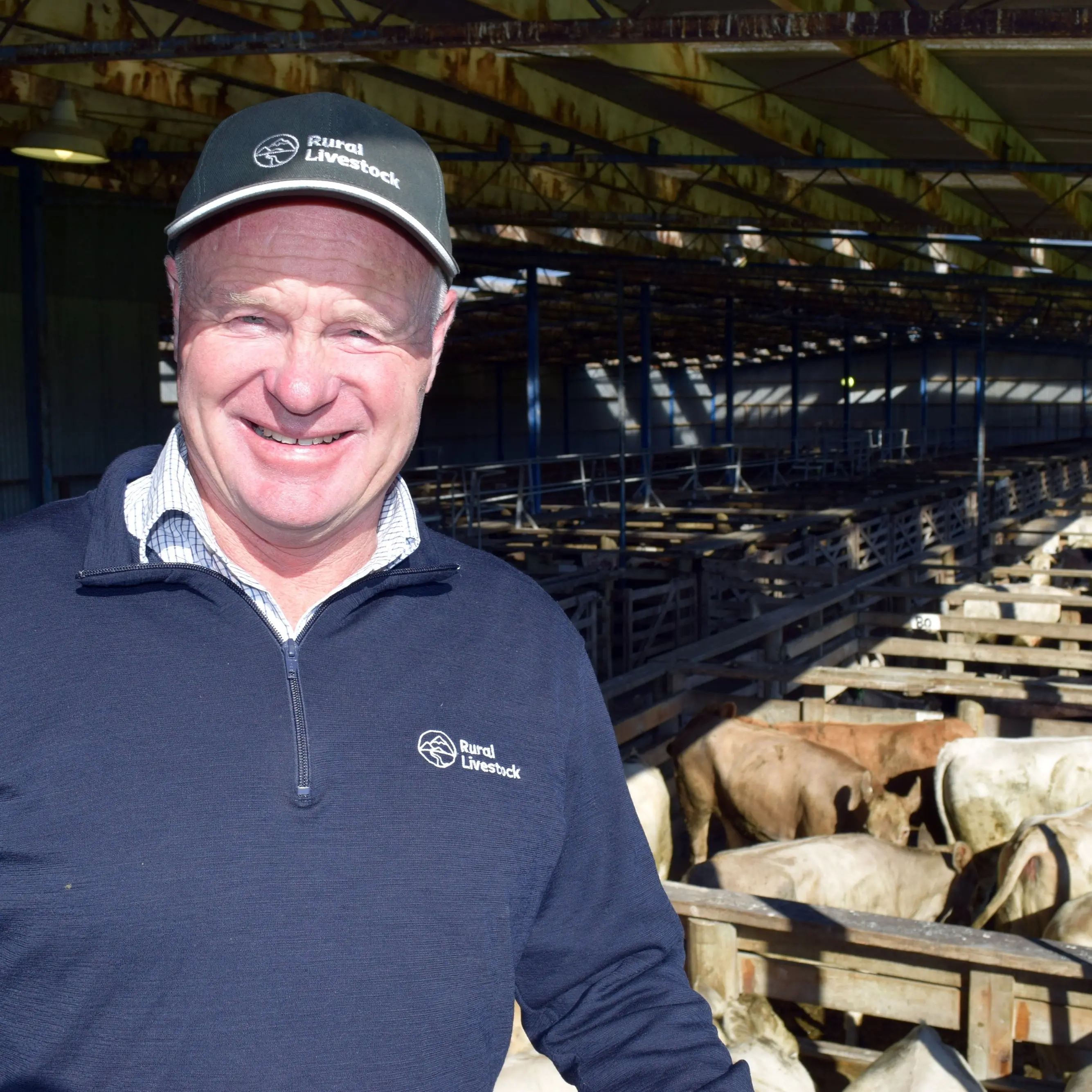 Grass growth spurs full clearance at Gore Spring Cattle Sale