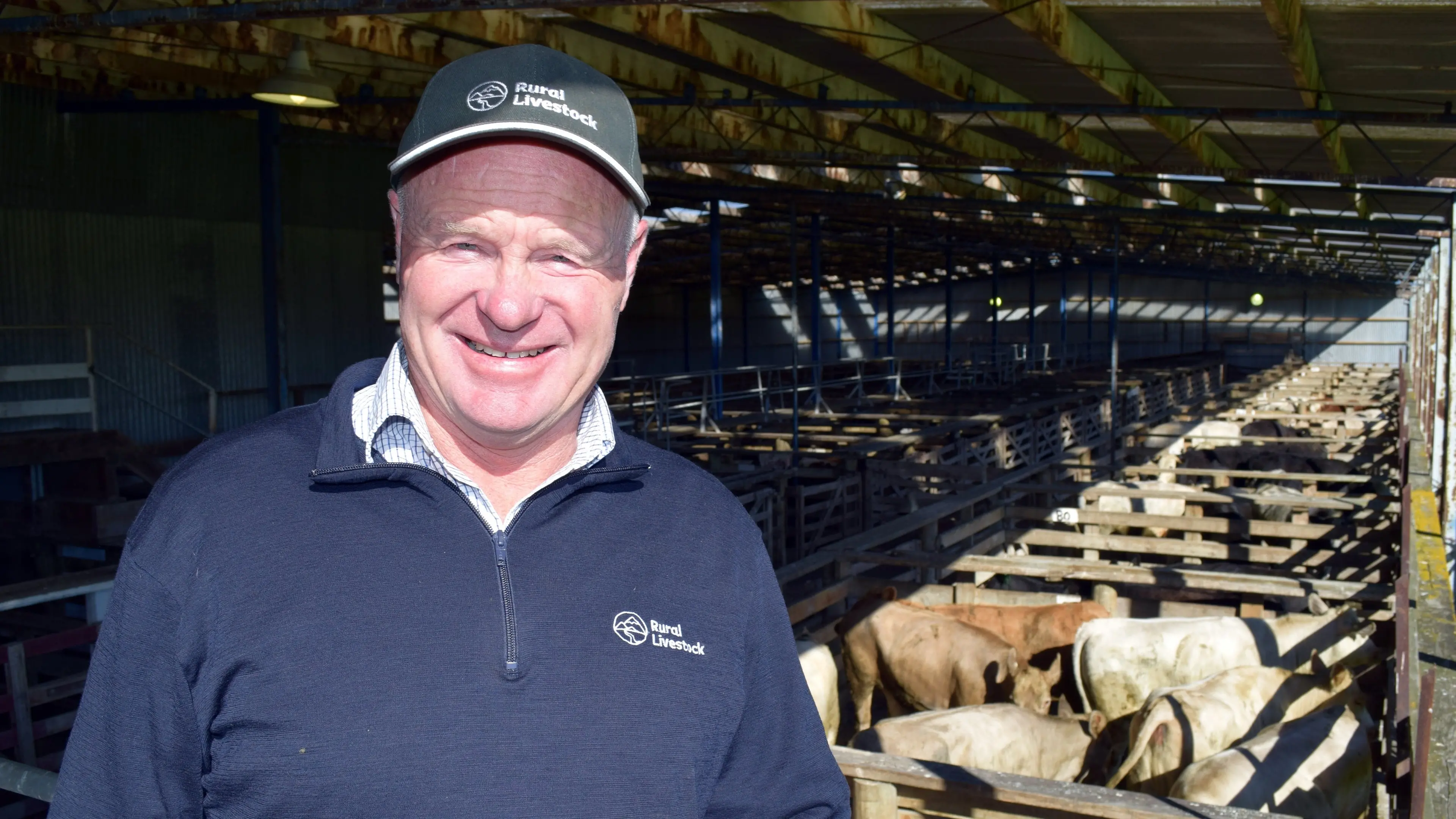 Grass growth spurs full clearance at Gore Spring Cattle Sale