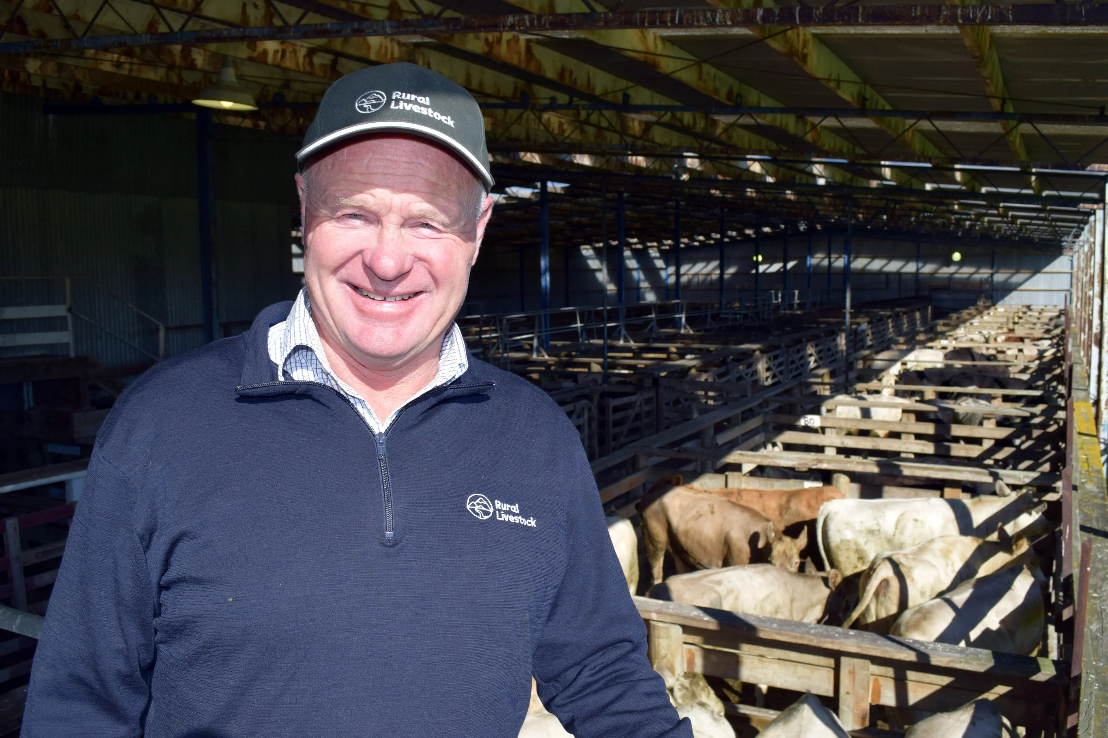 Rural Livestock agent Dennis Mullally at\\u00A0the Gore Spring Cattle Sale on October 21. Photo: Shawn McAvinue