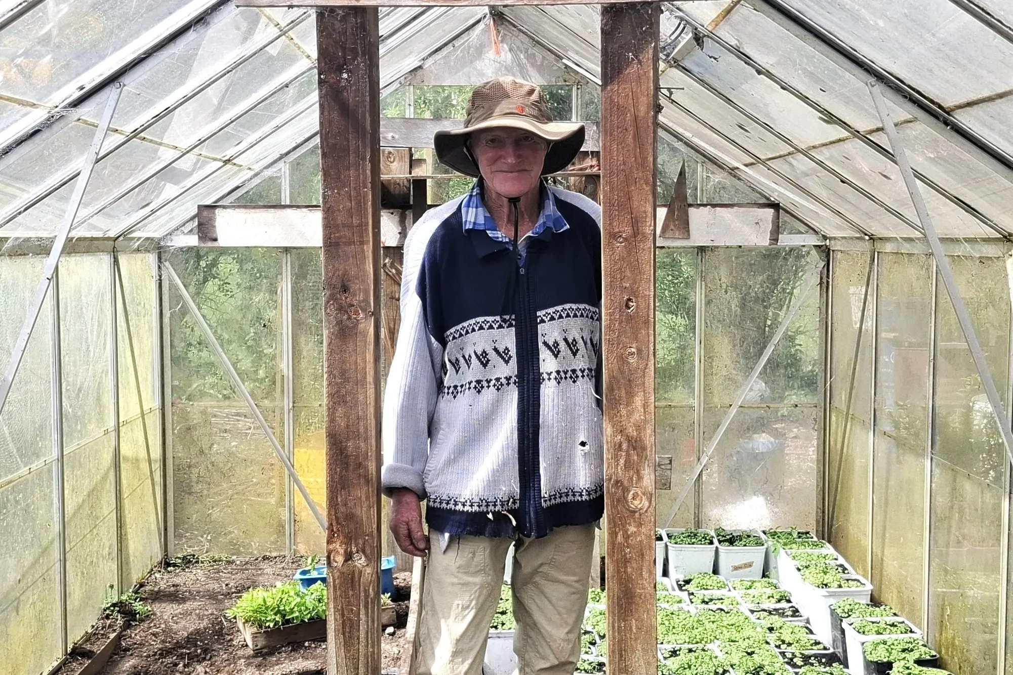 Jim Stuart has been helping grow plants to sell at Linkwater School\\'s popular Spring Fair for 30 years. Photo: Supplied.