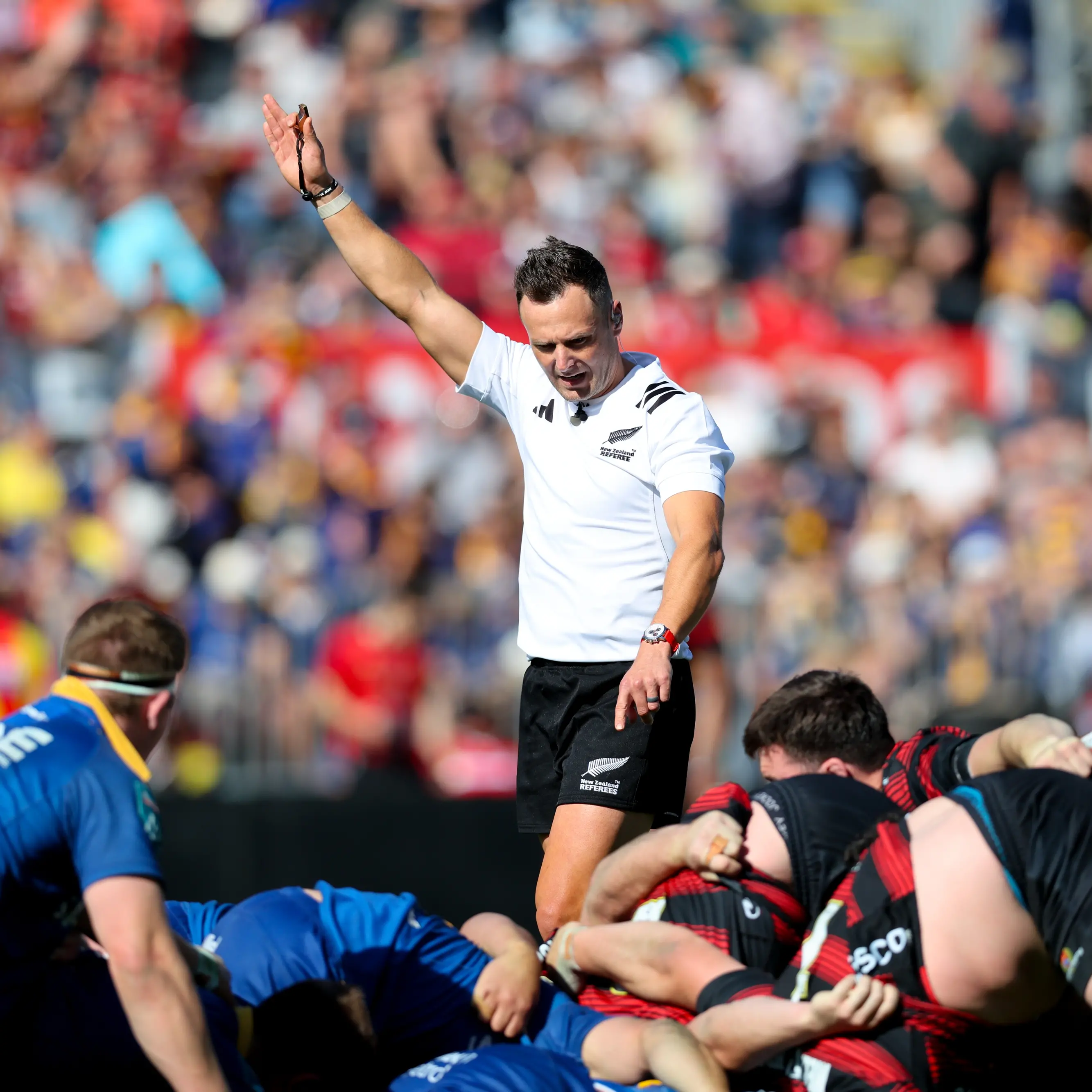 Otago referees dominate domestic appointments